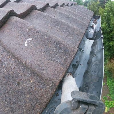 Ben's Gutters