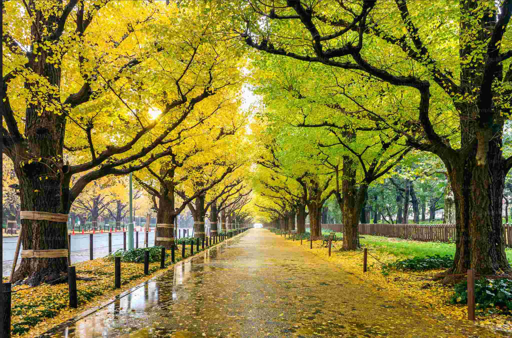 When Life Turns Its Seasons