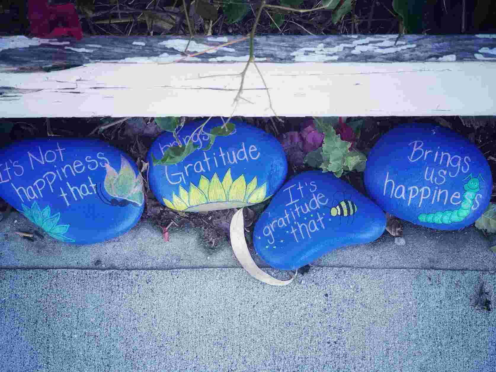 Harvest of Blessings: Gratitude and Faith in Every Season
