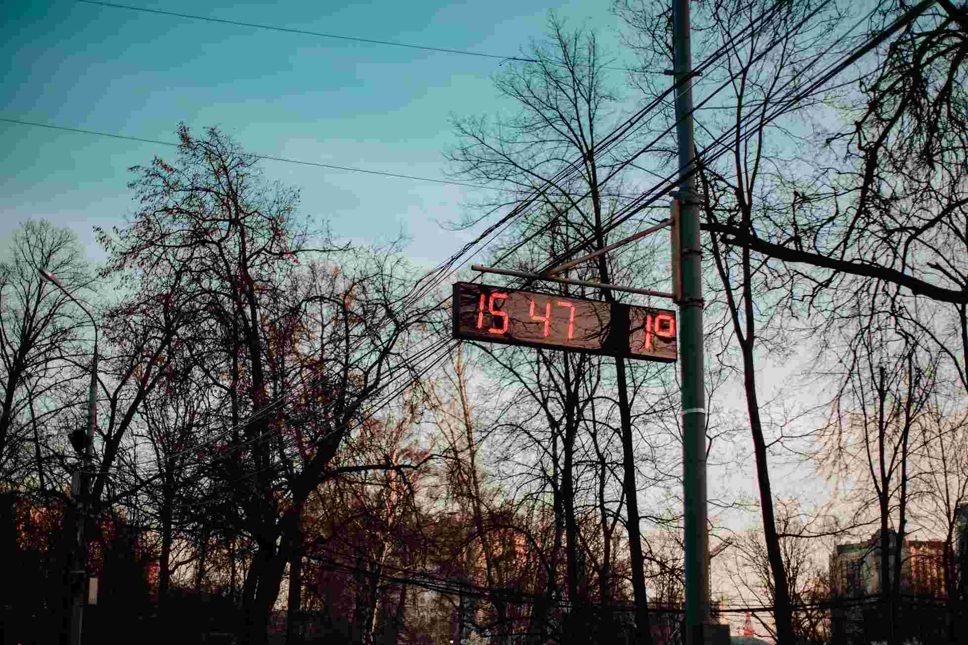 Seeds of Faith: What Happens When You Finally Trust God’s Timing