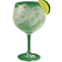 Gin And Tonic