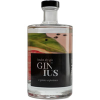 Ginius