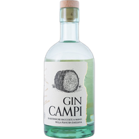 Gin Campi