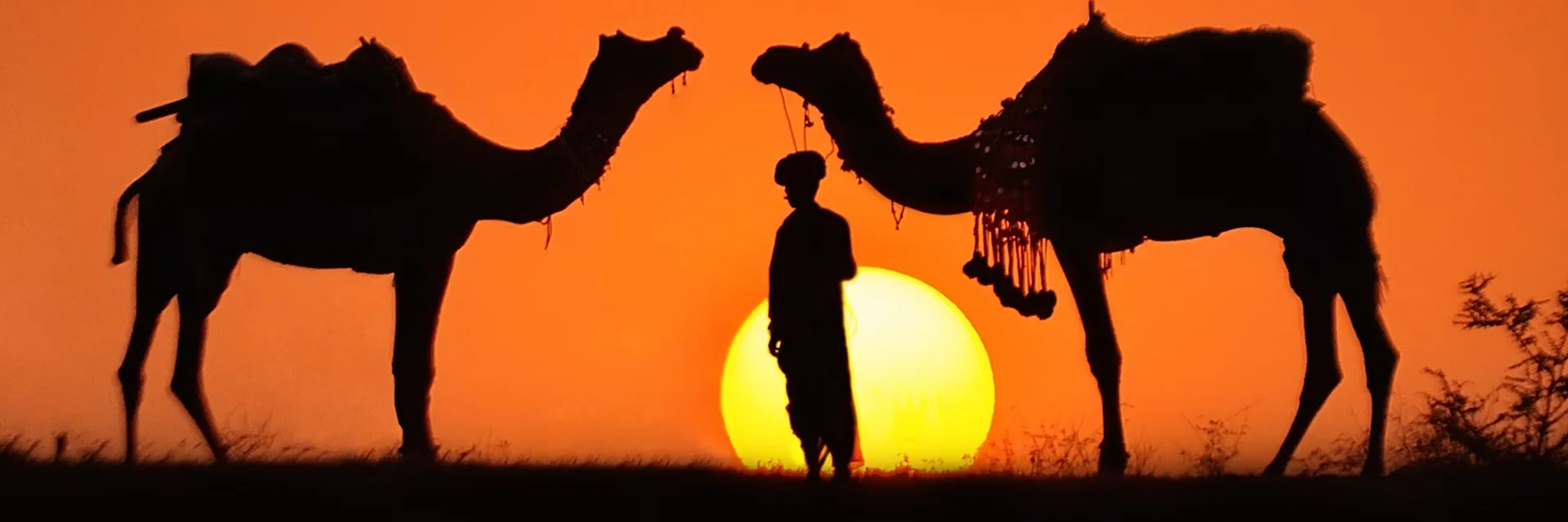 Pushkar Pushkar