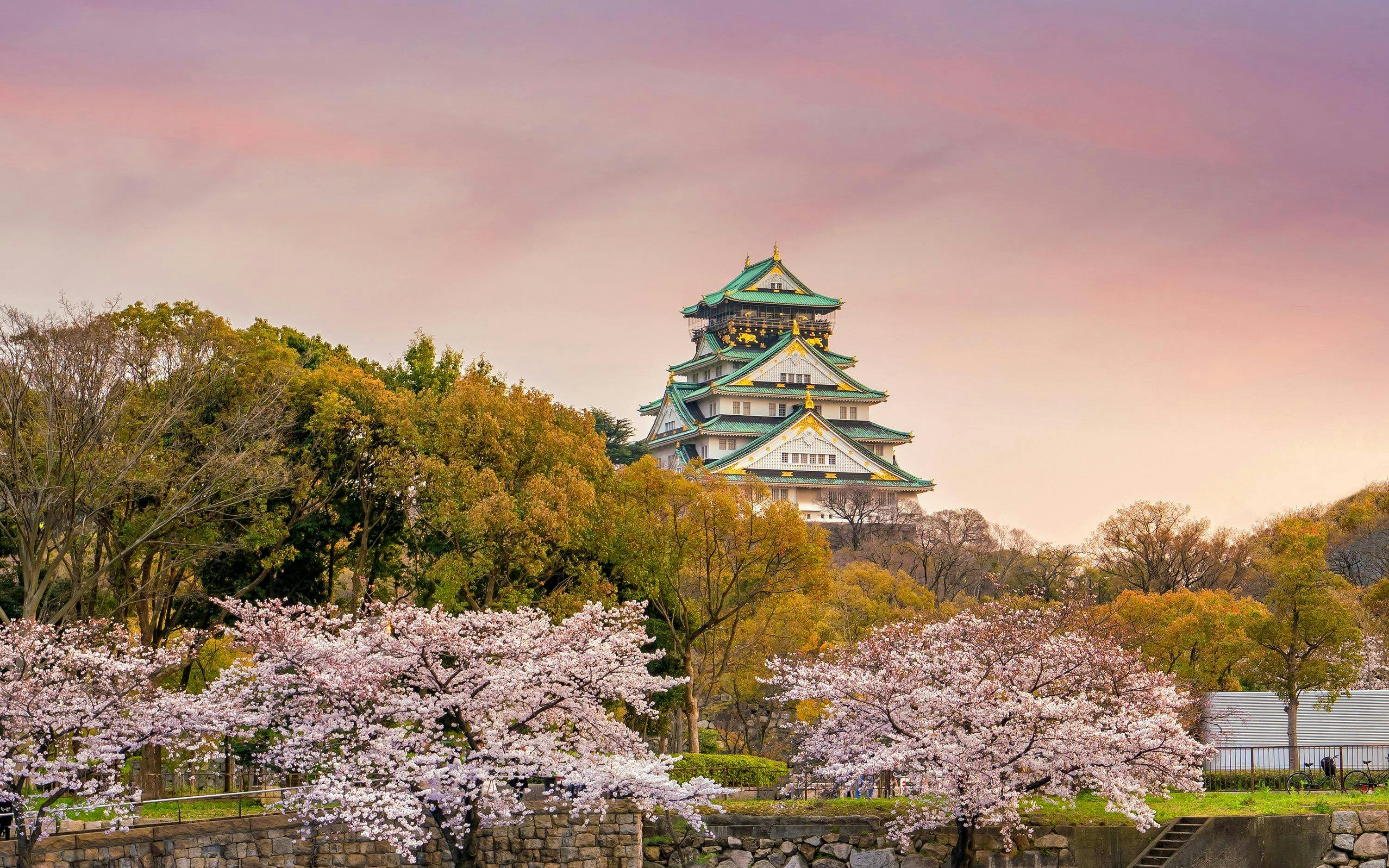10 Hours Private charter car in Osaka and Kyoto, Japan Image 5