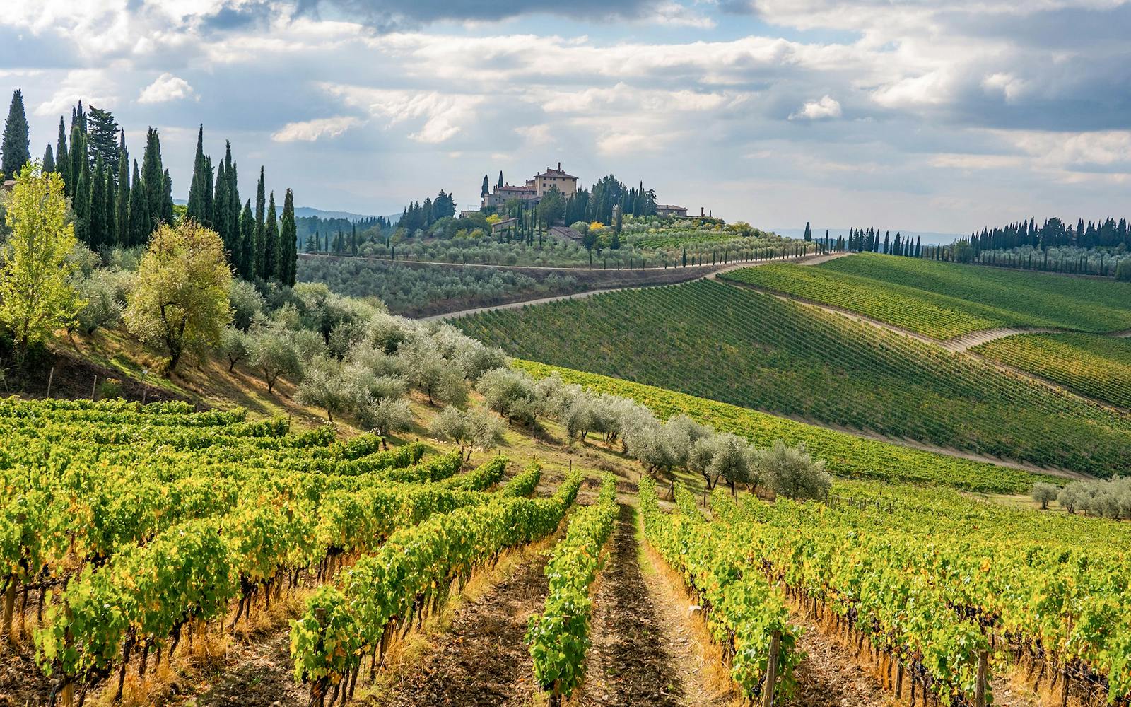 3-Hour Guided E-Bike Tour of Chianti with Wine Tasting Image 3