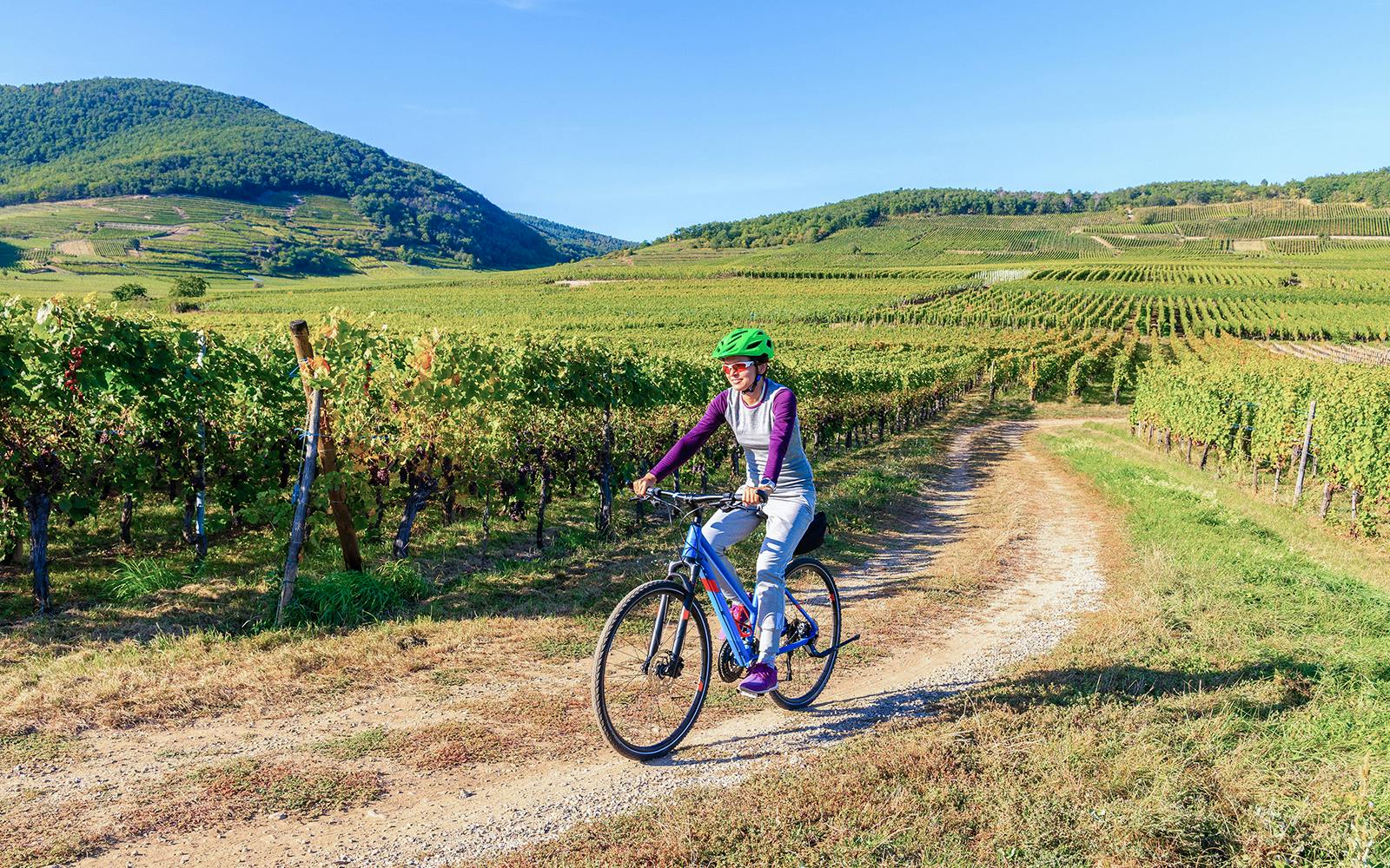 3-Hour Guided E-Bike Tour of Chianti with Wine Tasting Image 4