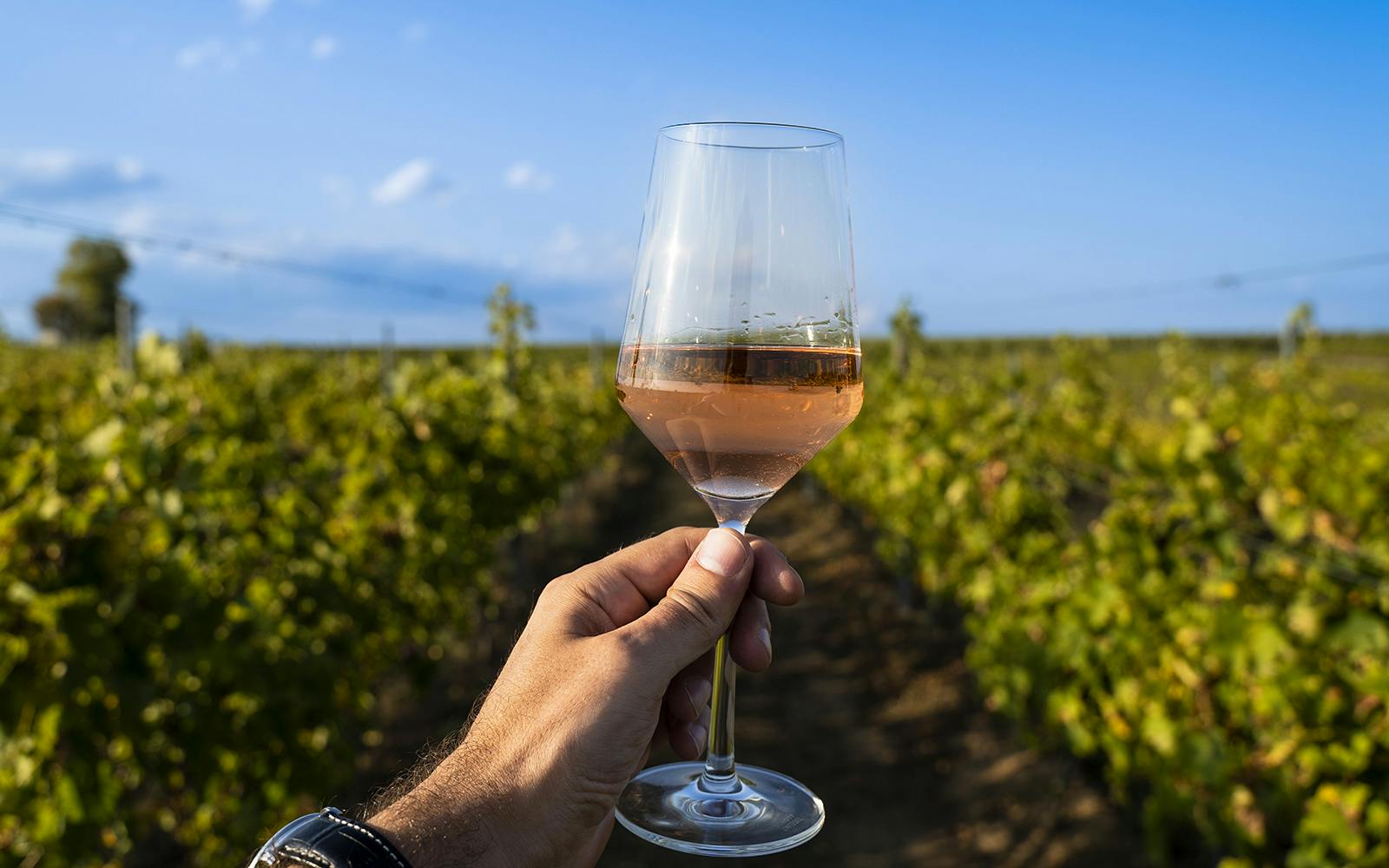 3-Hour Guided E-Bike Tour of Chianti with Wine Tasting Image 8