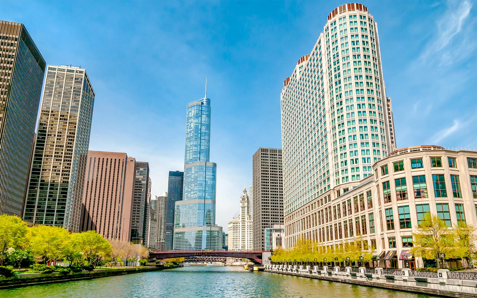 45-min Chicago River Architecture Cruise by Wendella Image 5