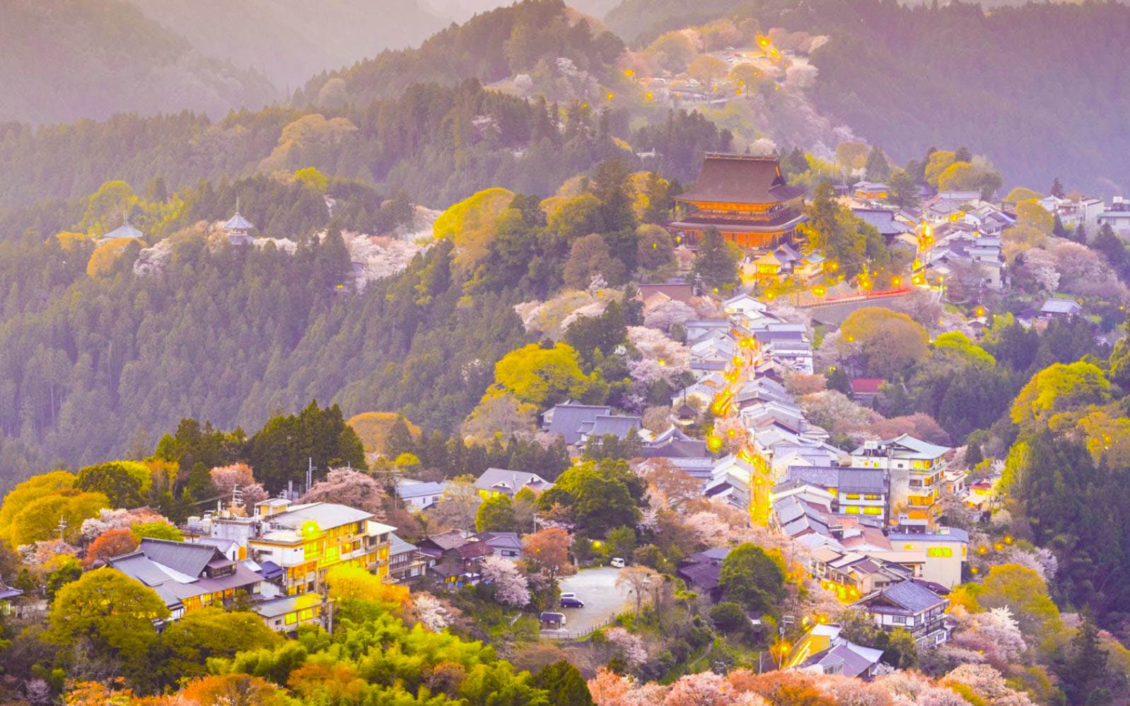 5 Day JR Kansai Wide Area Pass Image 2
