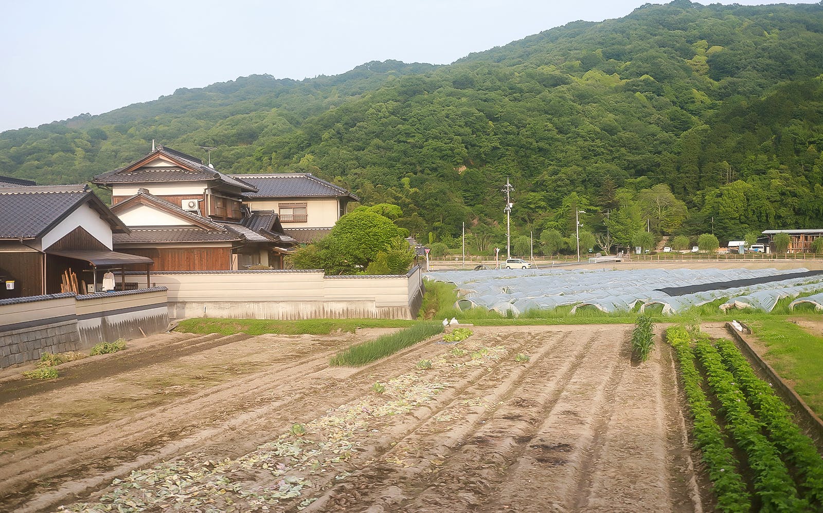 5 Day JR Okayama-Hiroshima-Yamaguchi Area Pass Image 3