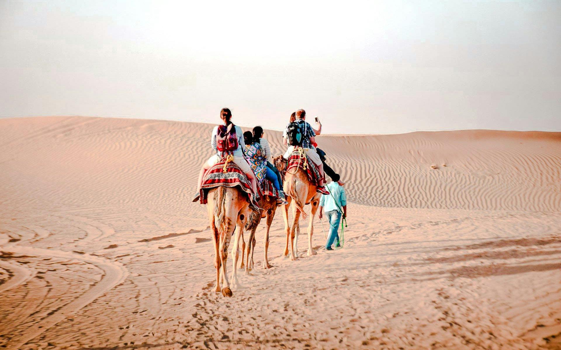 Abu Dhabi Camel Trekking Safari with Arabic Coffee & Dates Image 4