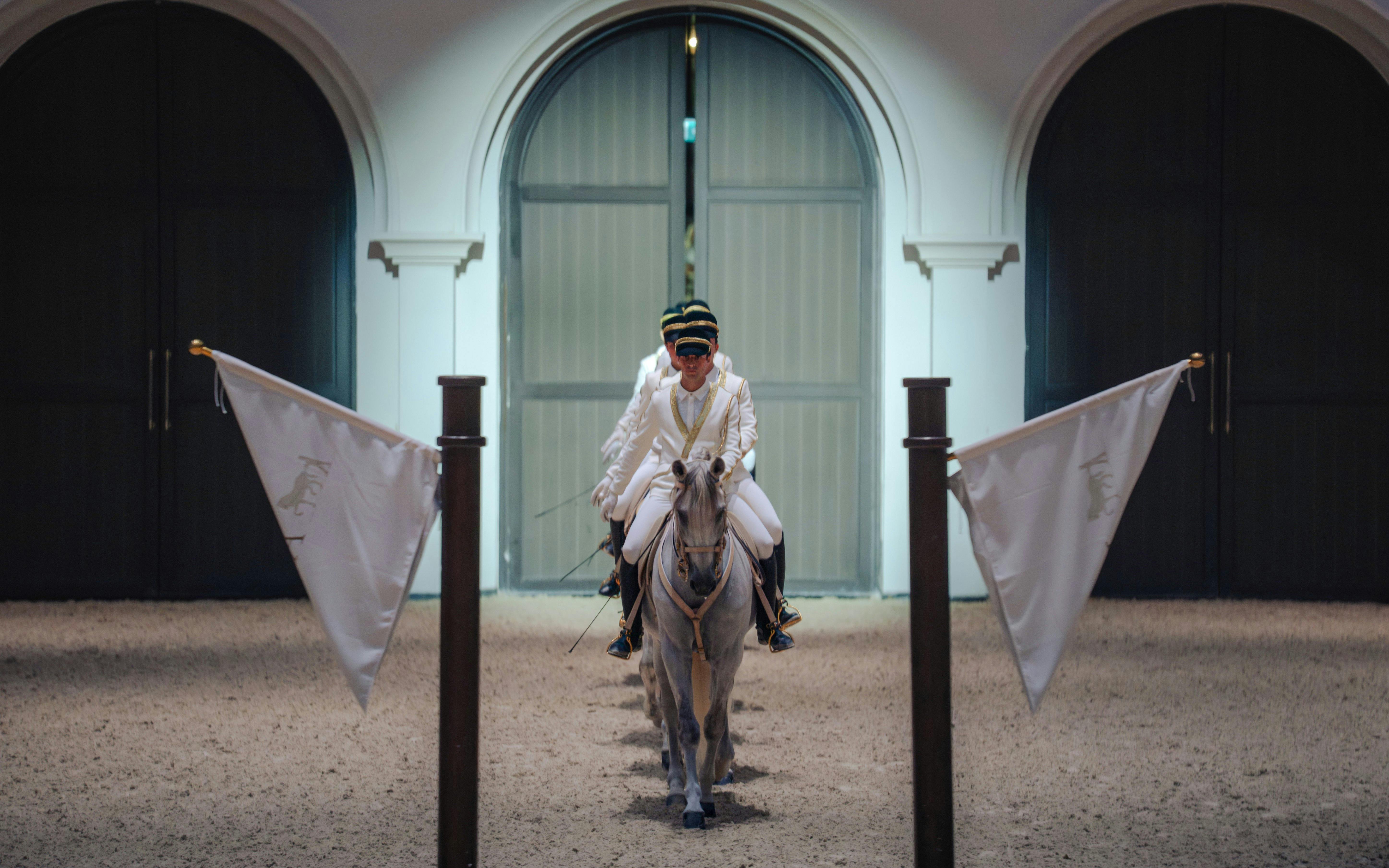 ADREA: Abu Dhabi Royal Equestrian Arts Show Tickets Image 1