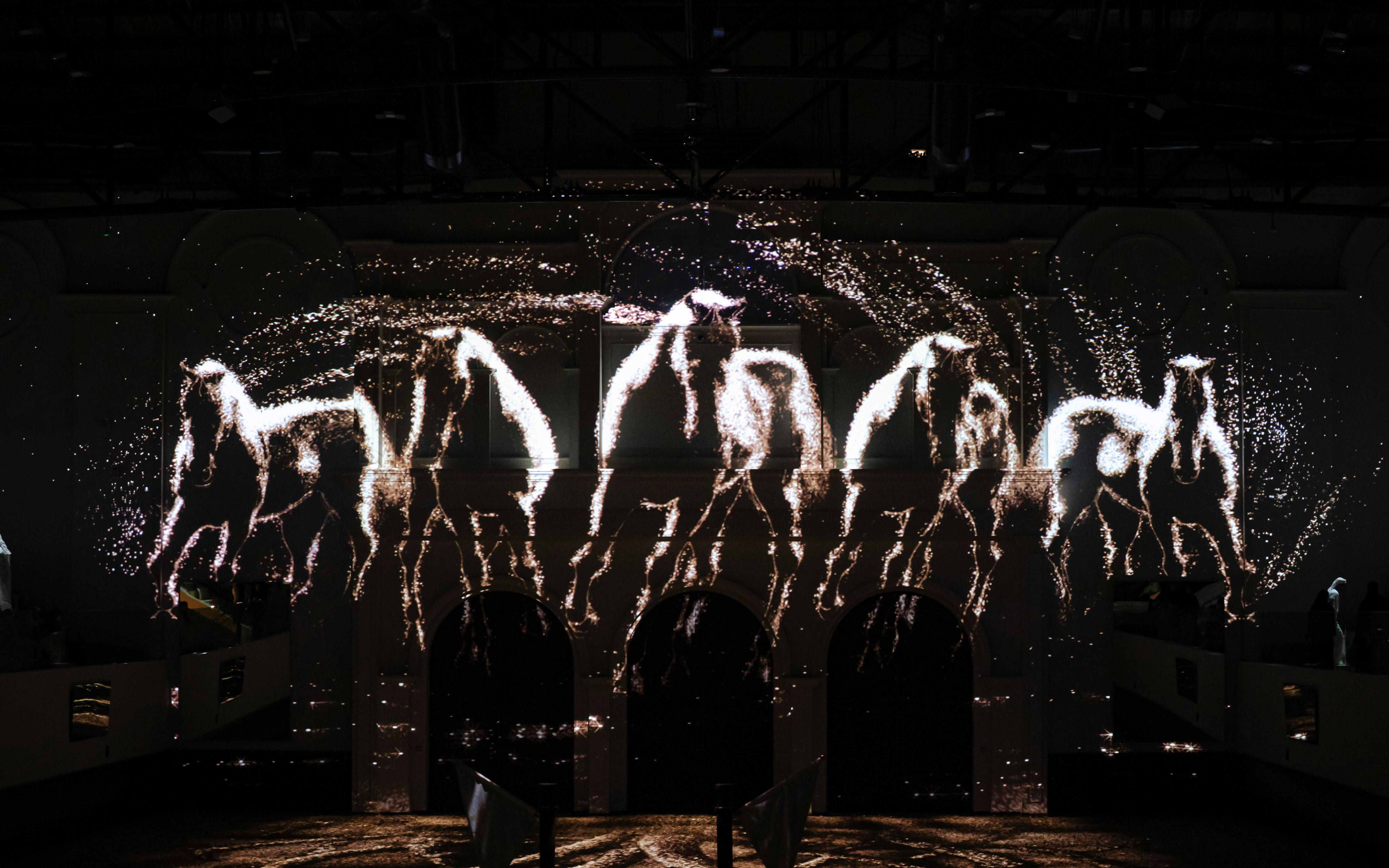ADREA: Abu Dhabi Royal Equestrian Arts Show Tickets Image 11