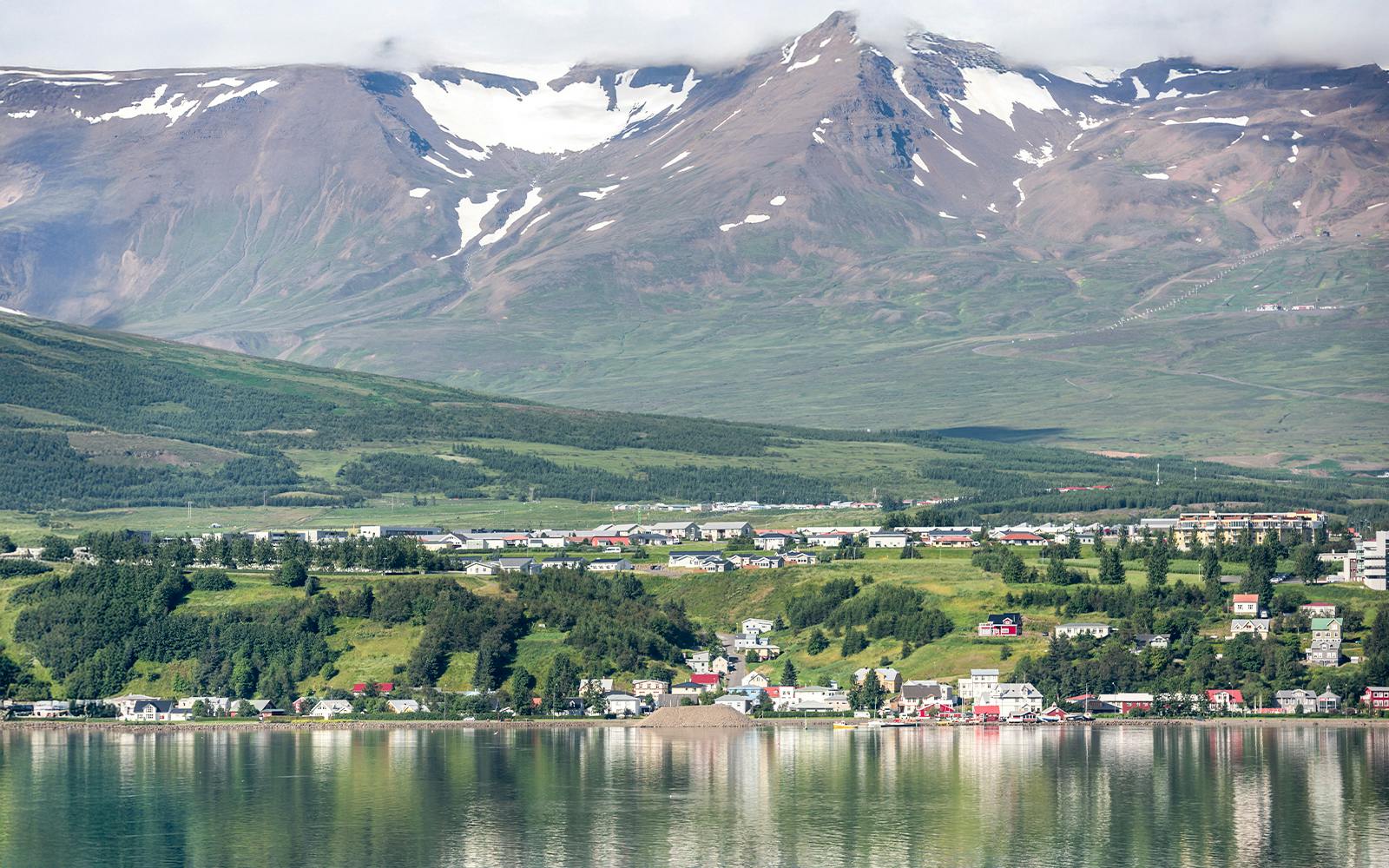 Akureyri: Whale Watching Tour on RIB Speedboat Image 5