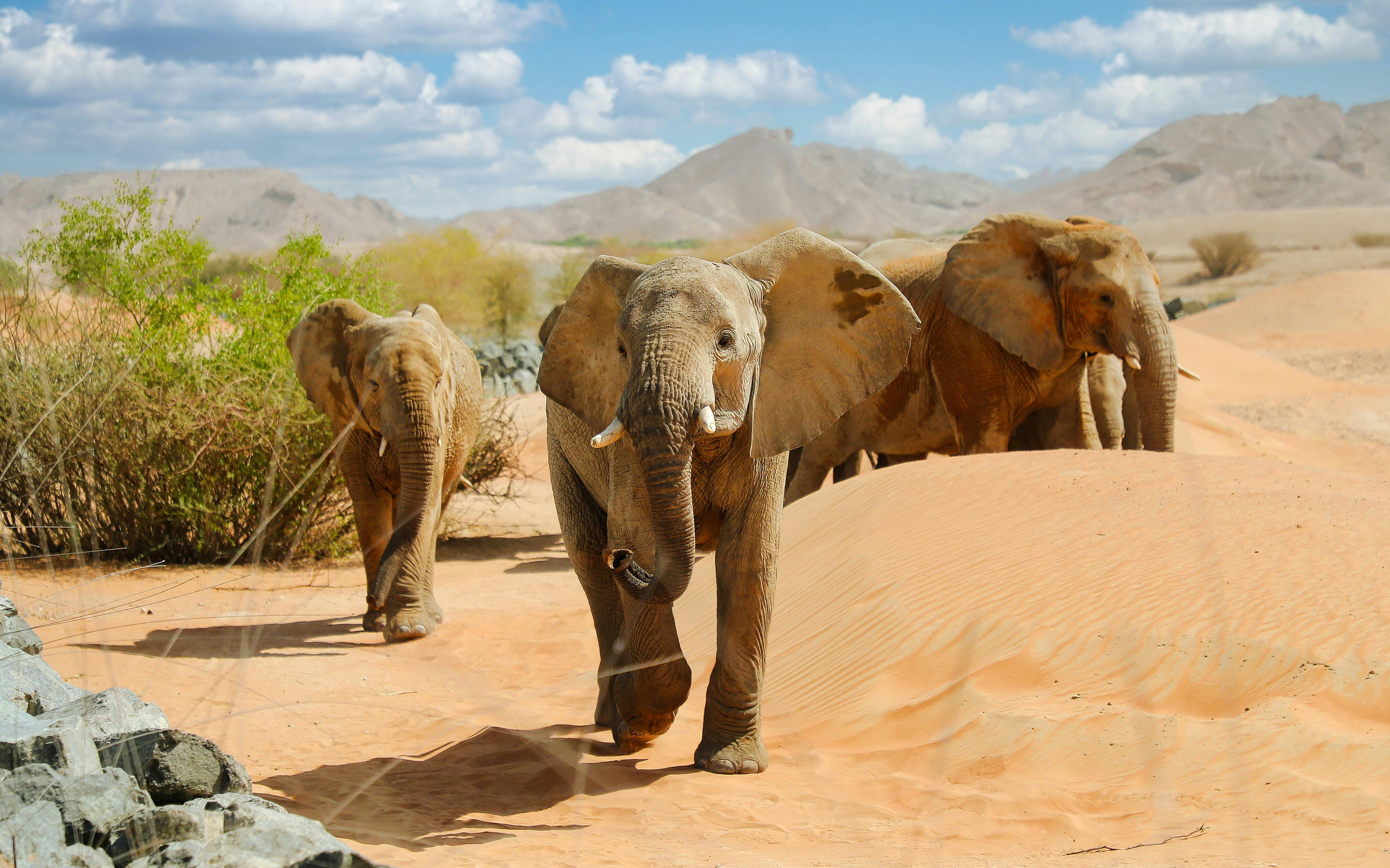 Al Ain Zoo Tickets Image 4