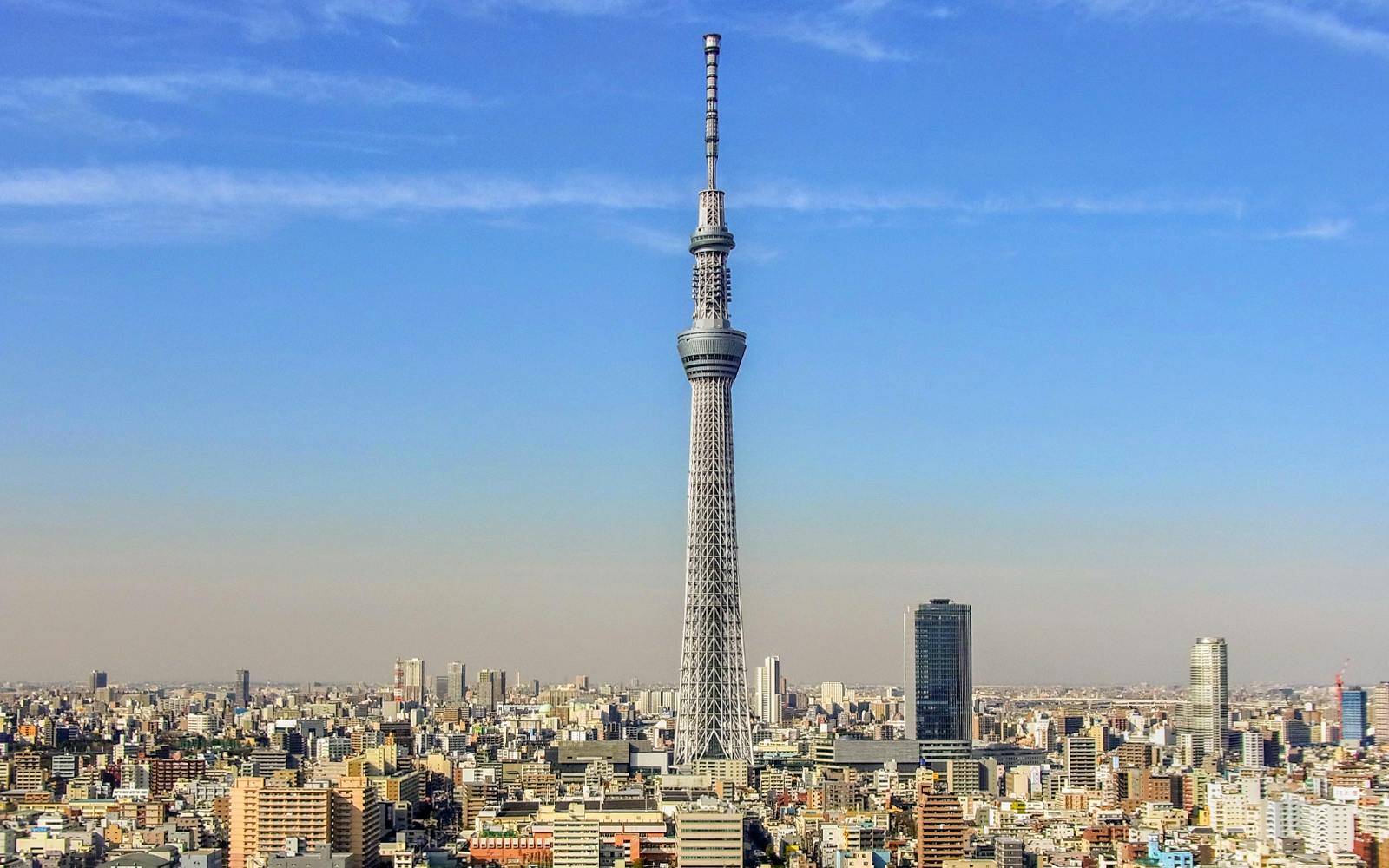 Amazing Tokyo 1-Day Bus Tour Image 1