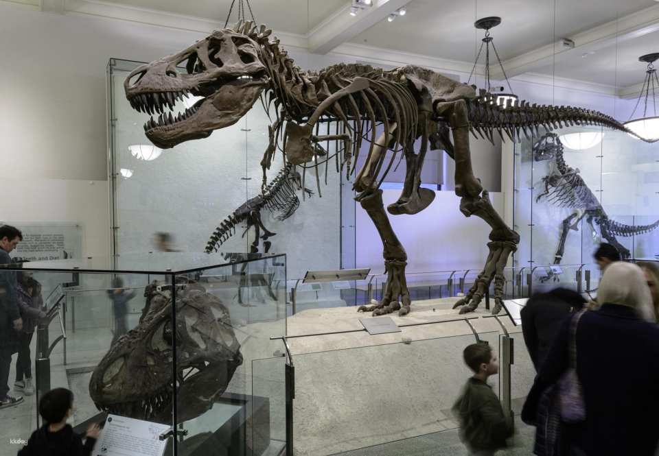 COMBO: American Museum of Natural History + The Museum of Modern Art (MoMA) Tickets