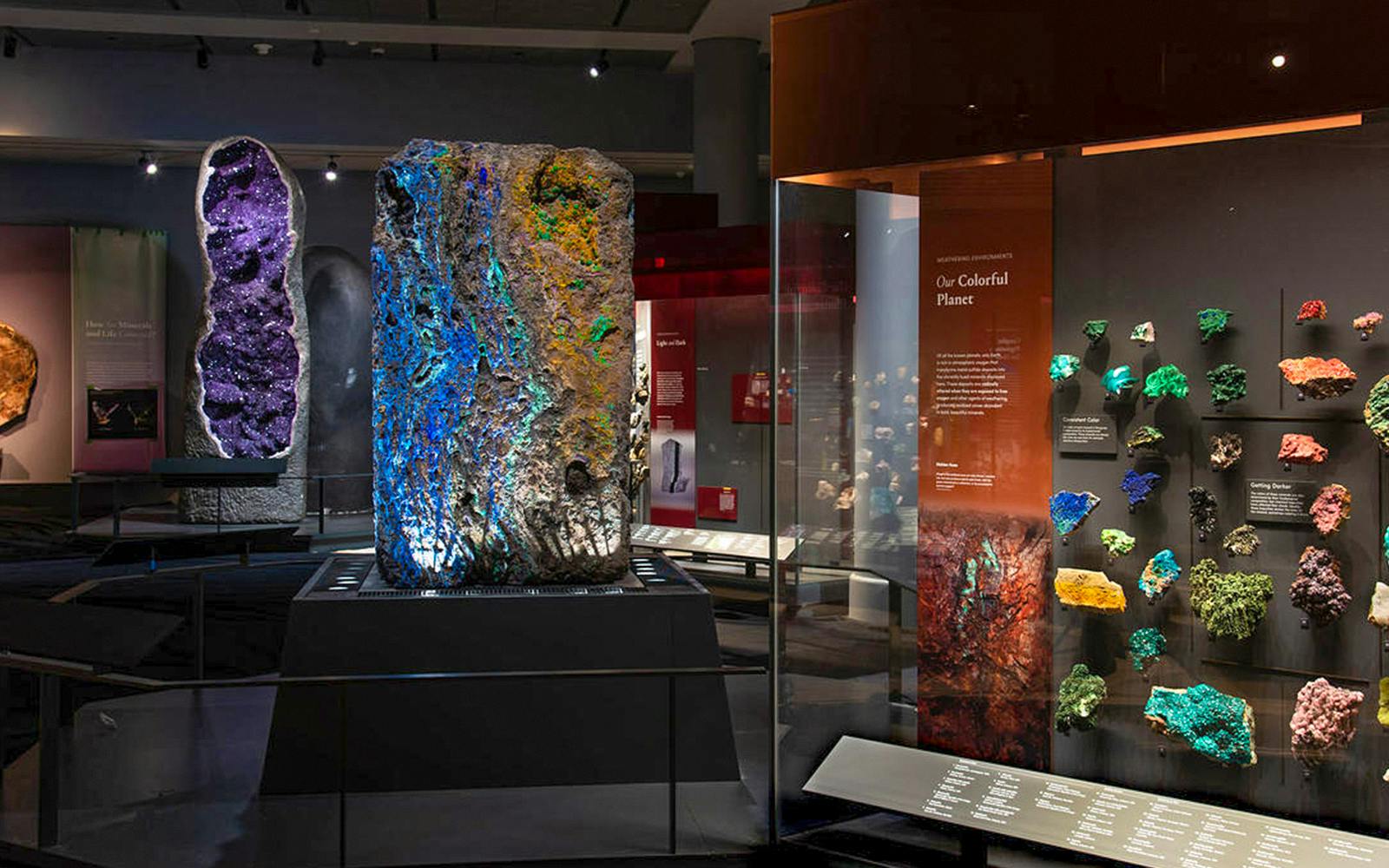 American Museum of Natural History plus 1-3 Top NYC Attraction Tickets Image 10