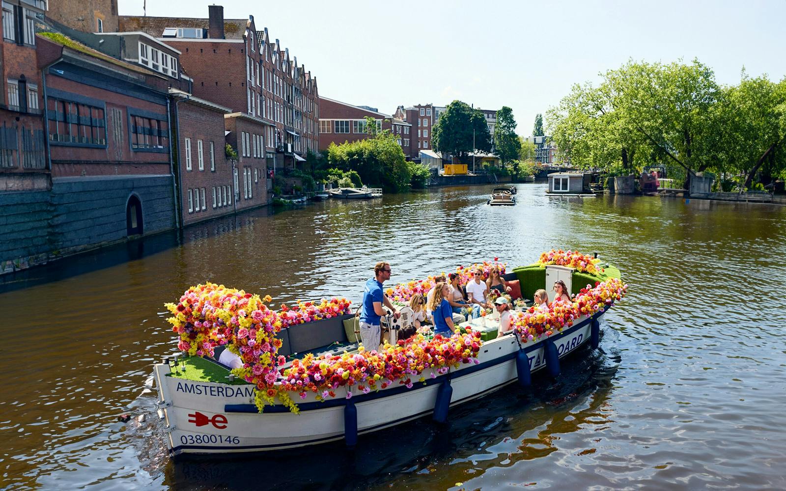 Amsterdam: 1-Hour Exclusive Tulip Experience on a Luxury Open Boat Image 1