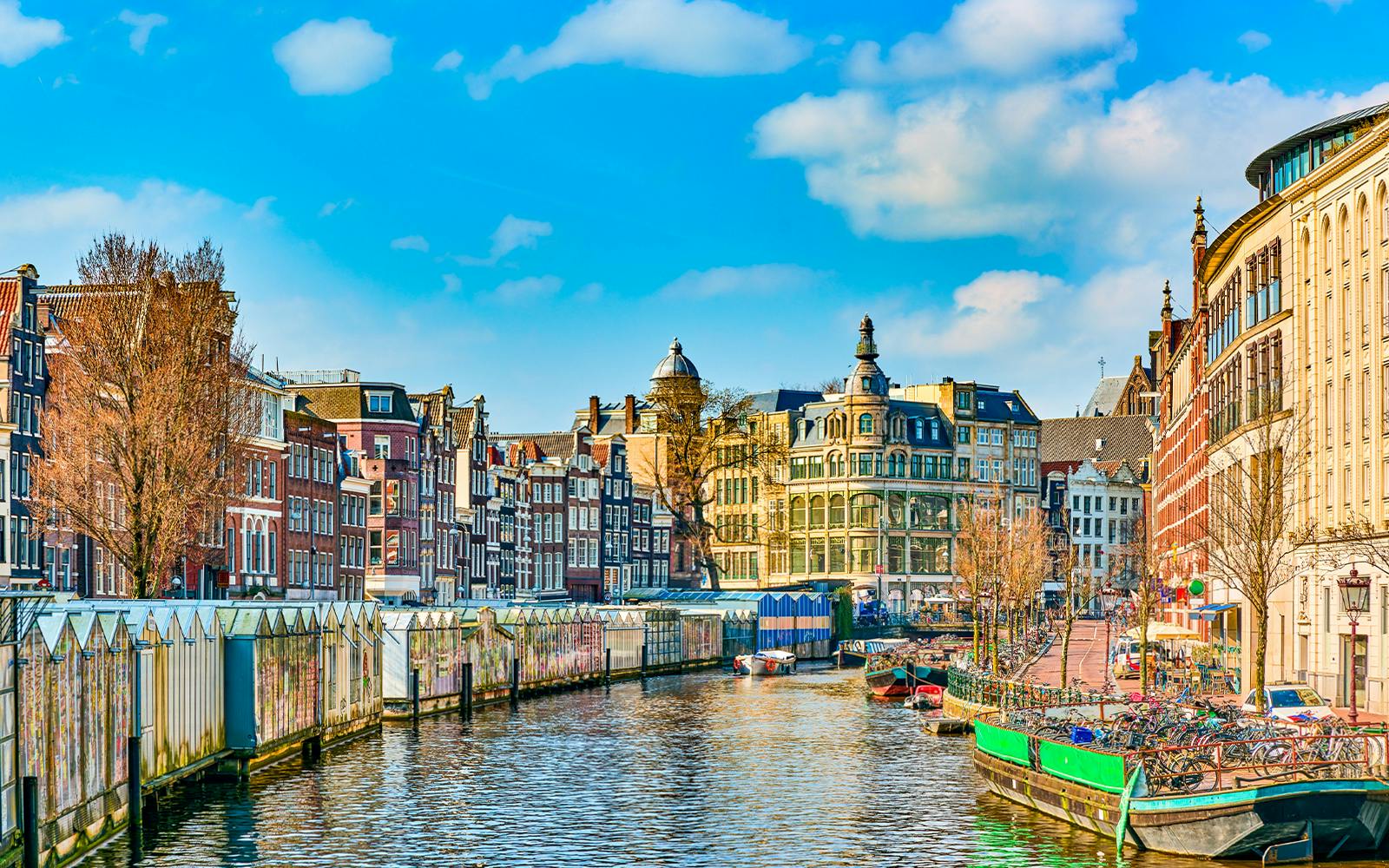 Amsterdam: 75-Min Pancake Cruise on IJ River Image 4