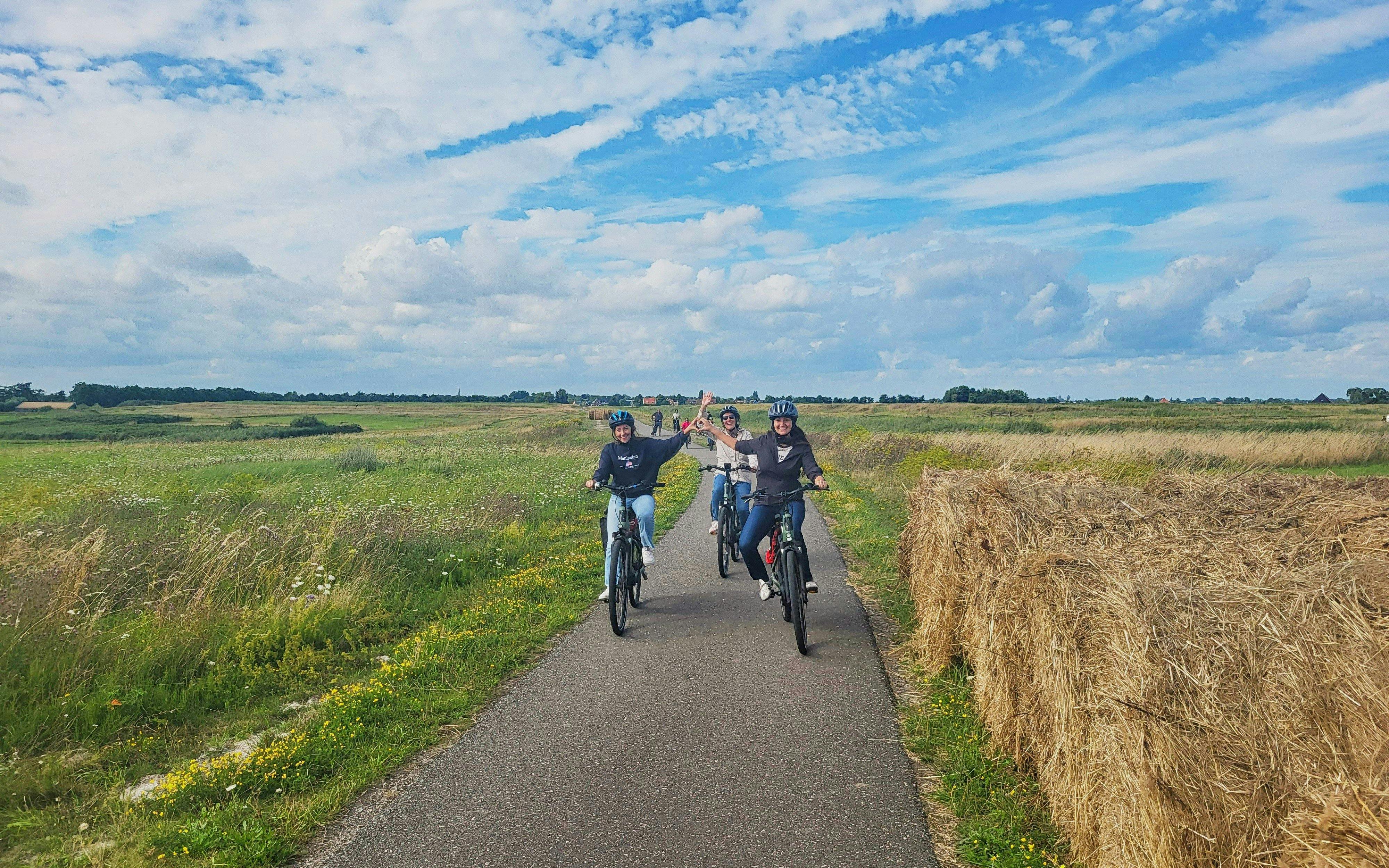 Amsterdam Countryside Cheese, Clogs & Windmill E-Bike Tour Image 5