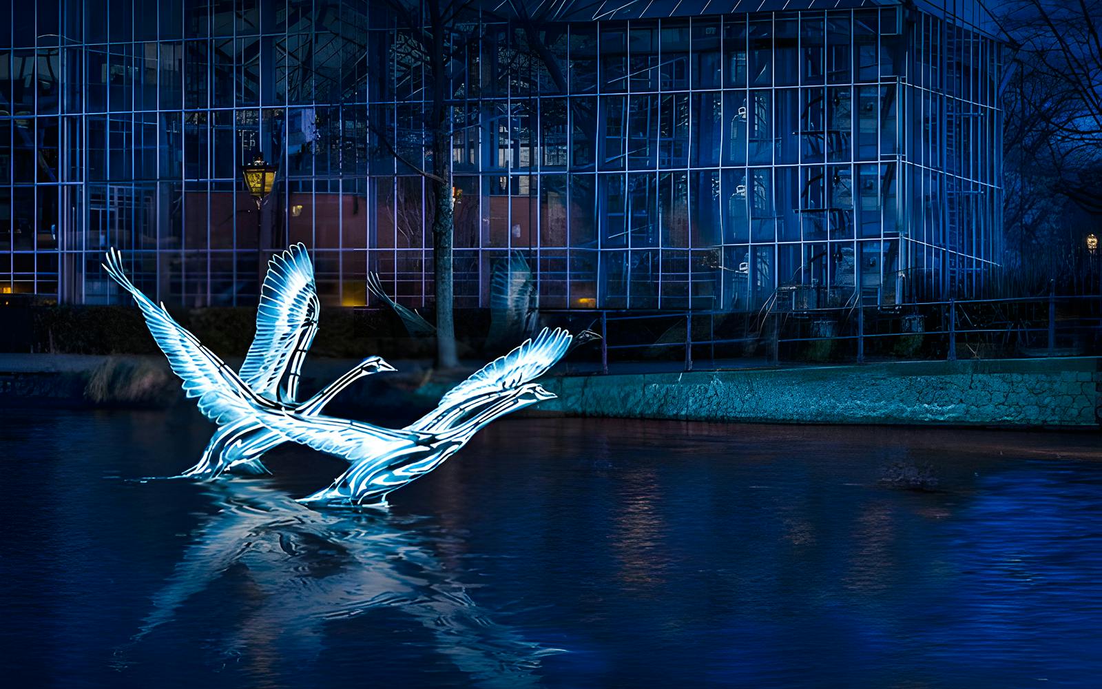 Amsterdam Light Festival Covered Canal Cruise Image 4