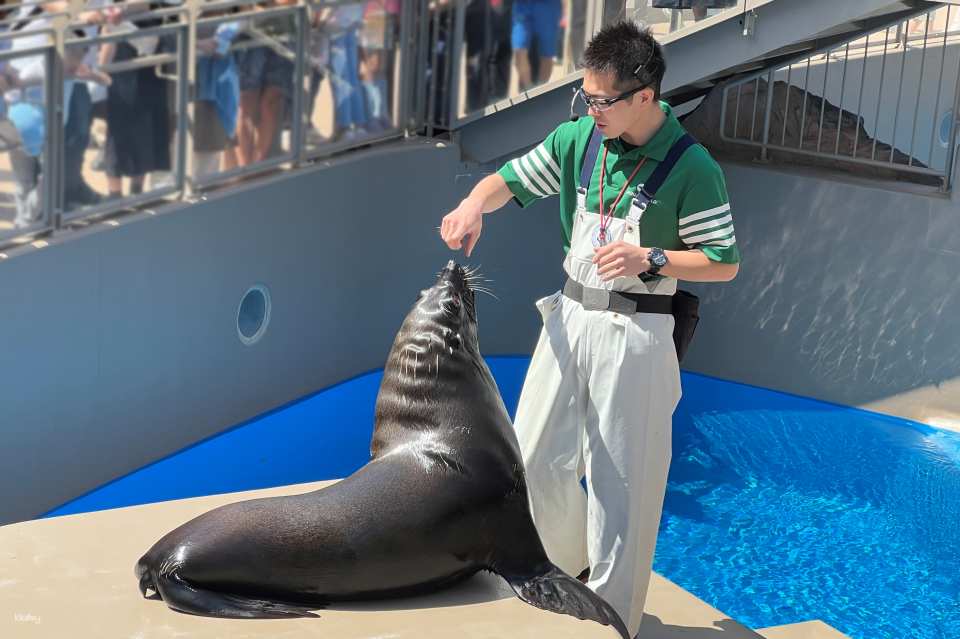 [Smooth entry with advance purchase] Aqua World Ibaraki Oarai Aquarium Admission Ticket