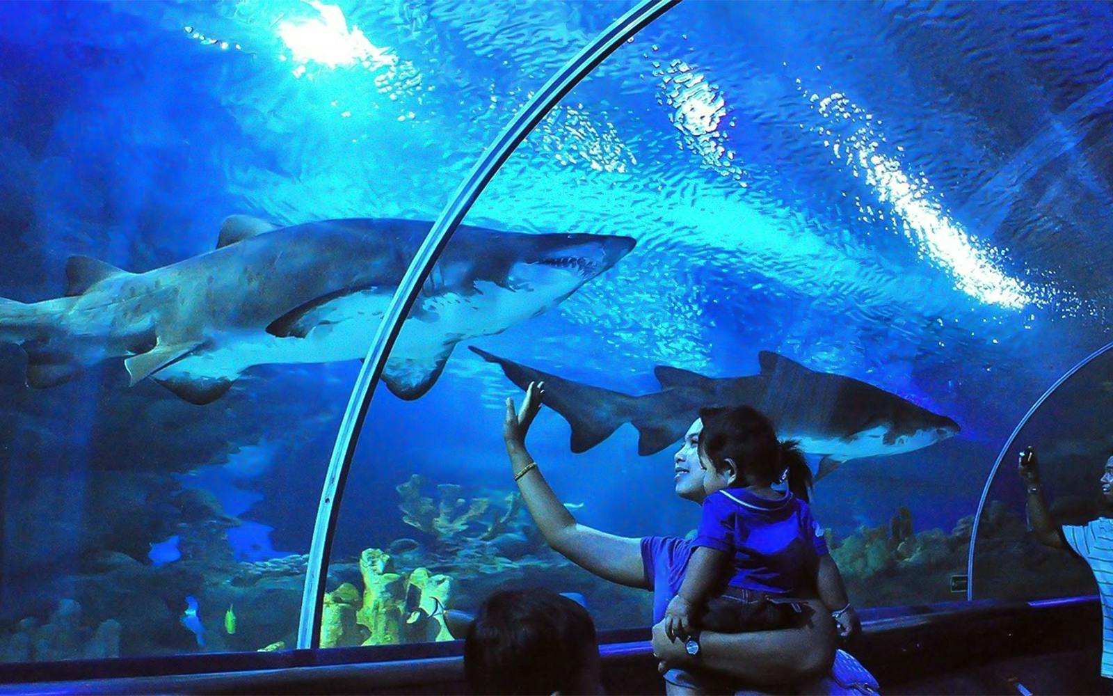Aquaria KLCC Tickets Image 1