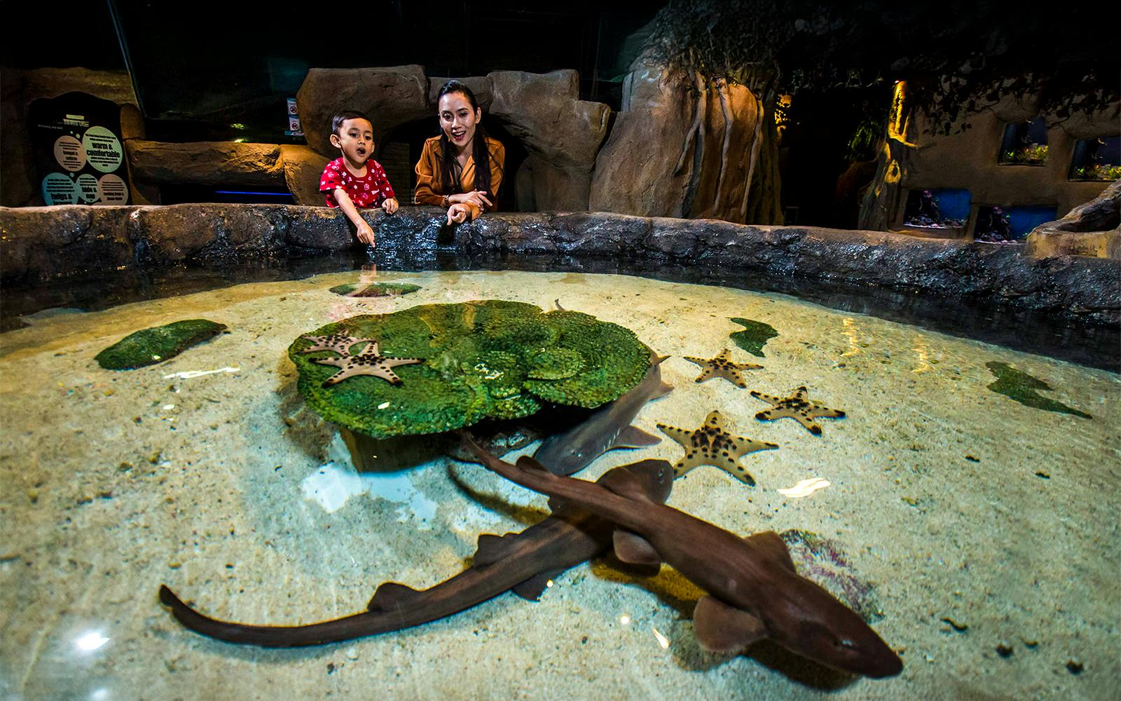 Aquaria KLCC Tickets Image 4