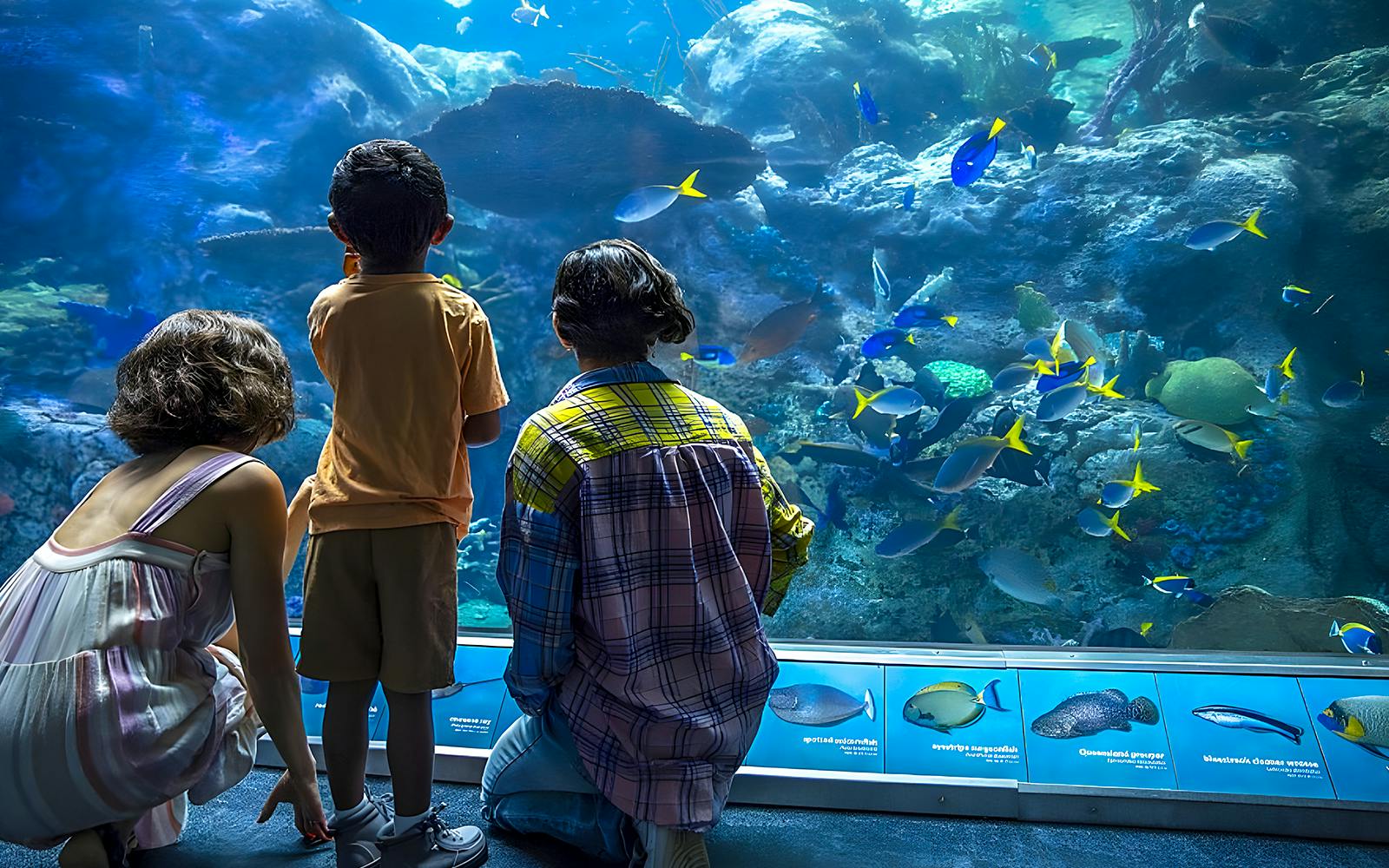 Aquarium of the Pacific Skip-the-Line Tickets Image 1