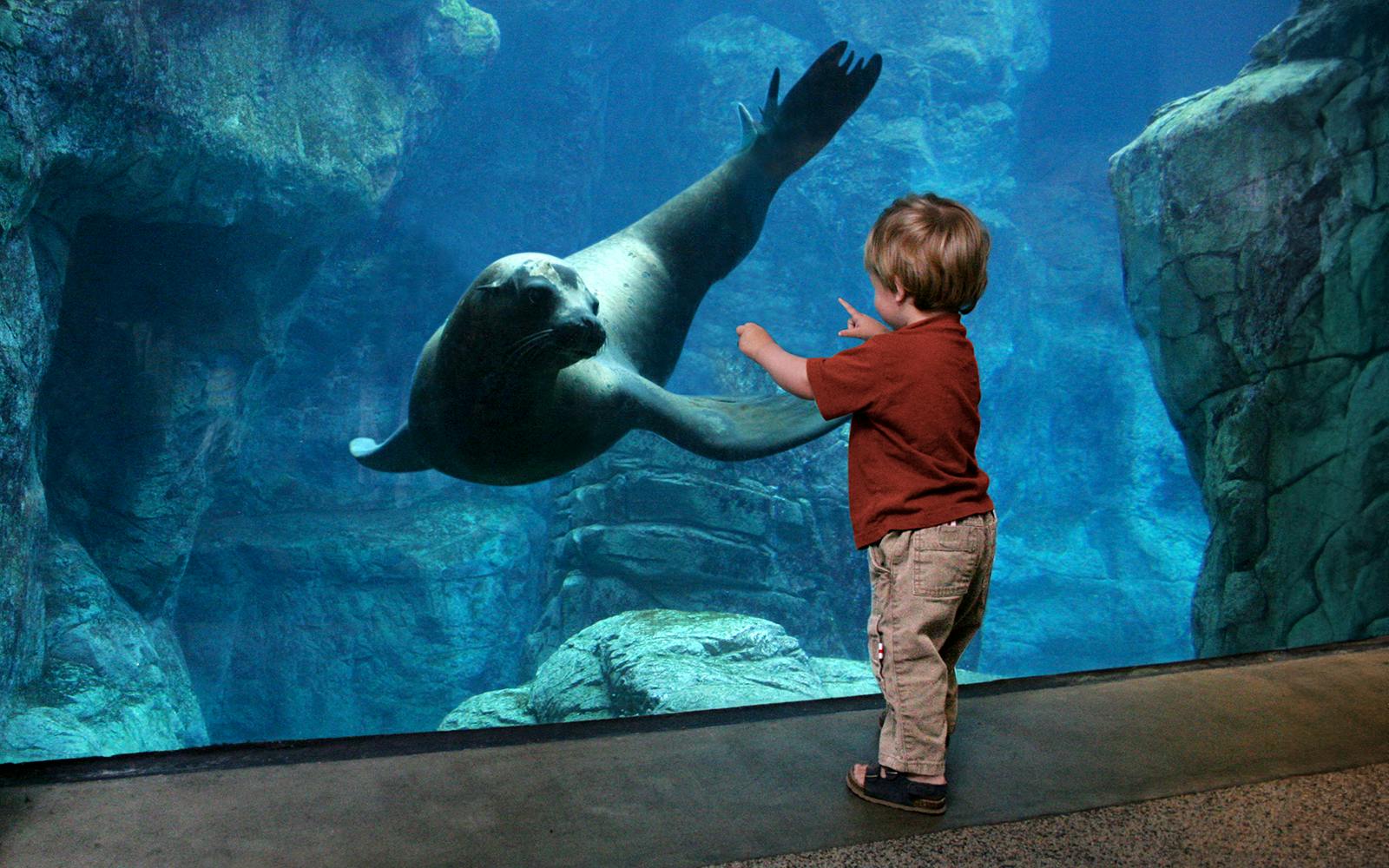 Aquarium of the Pacific Skip-the-Line Tickets Image 3