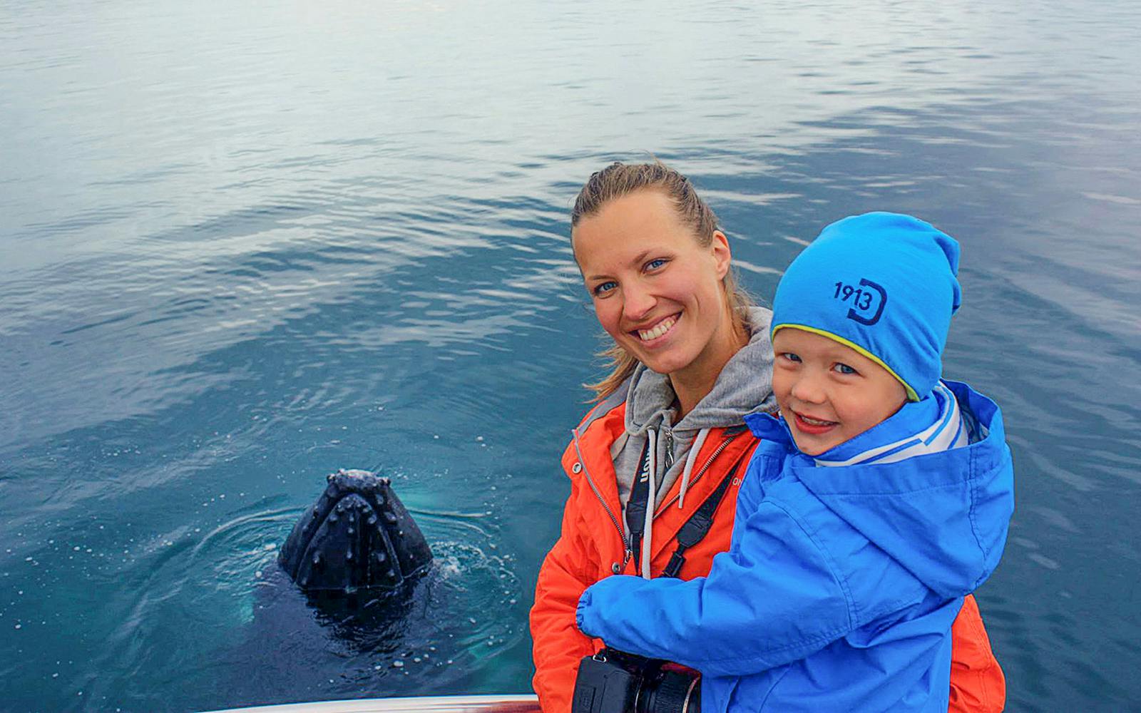 Árskógssandur: Whale Watching Boat Tour Image 8
