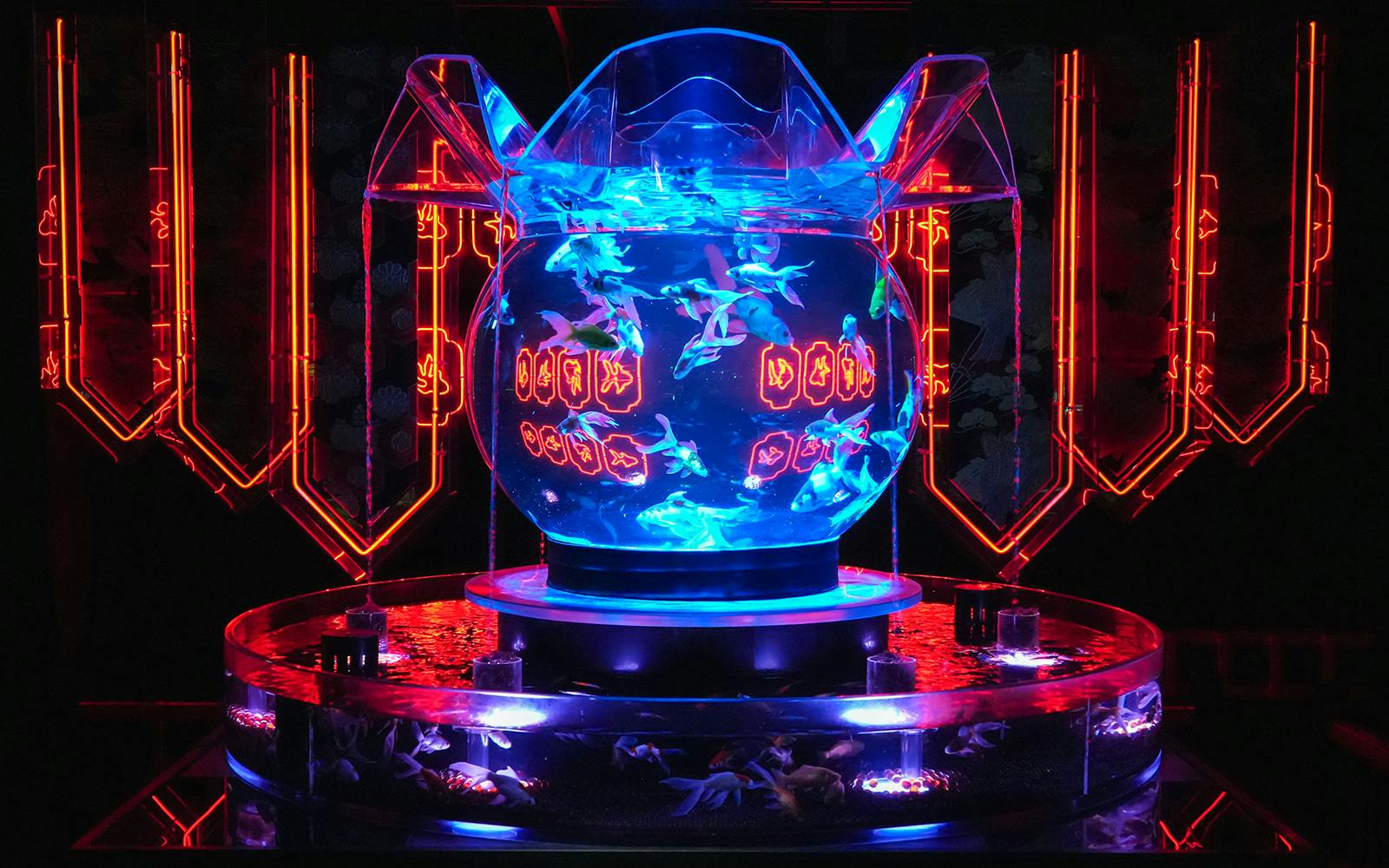Art Aquarium Museum Ginza Tickets  Image 5