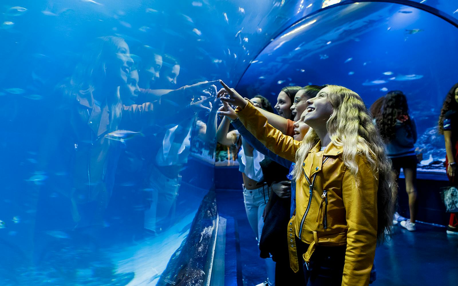 Atlantis Aquarium Madrid Tickets Image 1