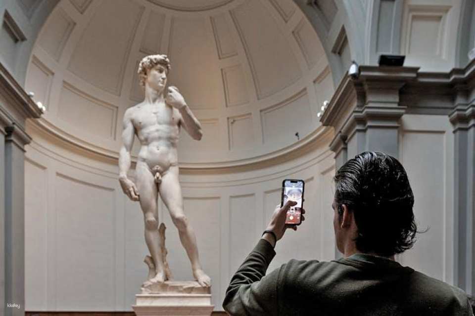 Audioguided tour at the Accademia Gallery with live expert commentary