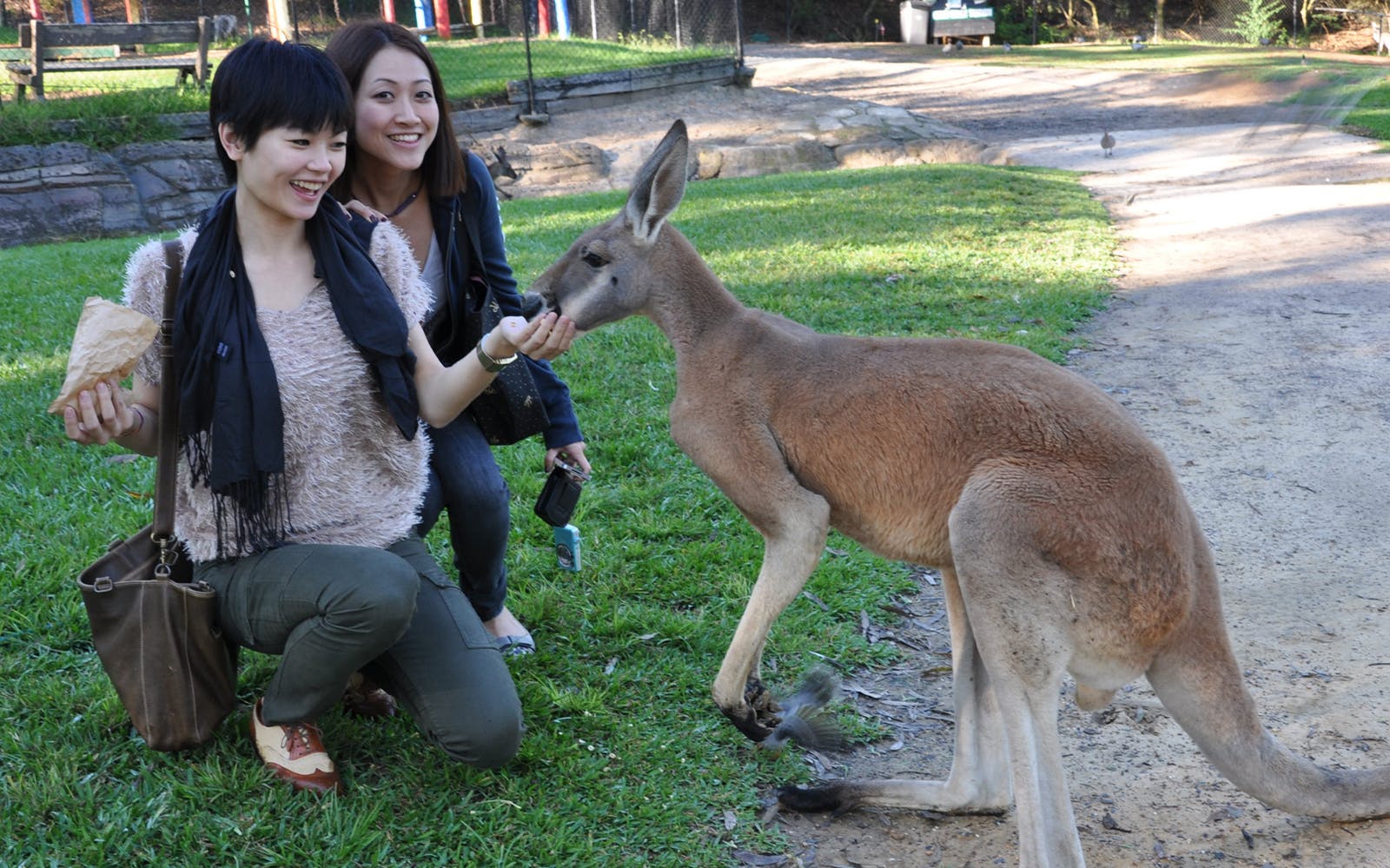 Australian Reptile Park Ticket Image 3
