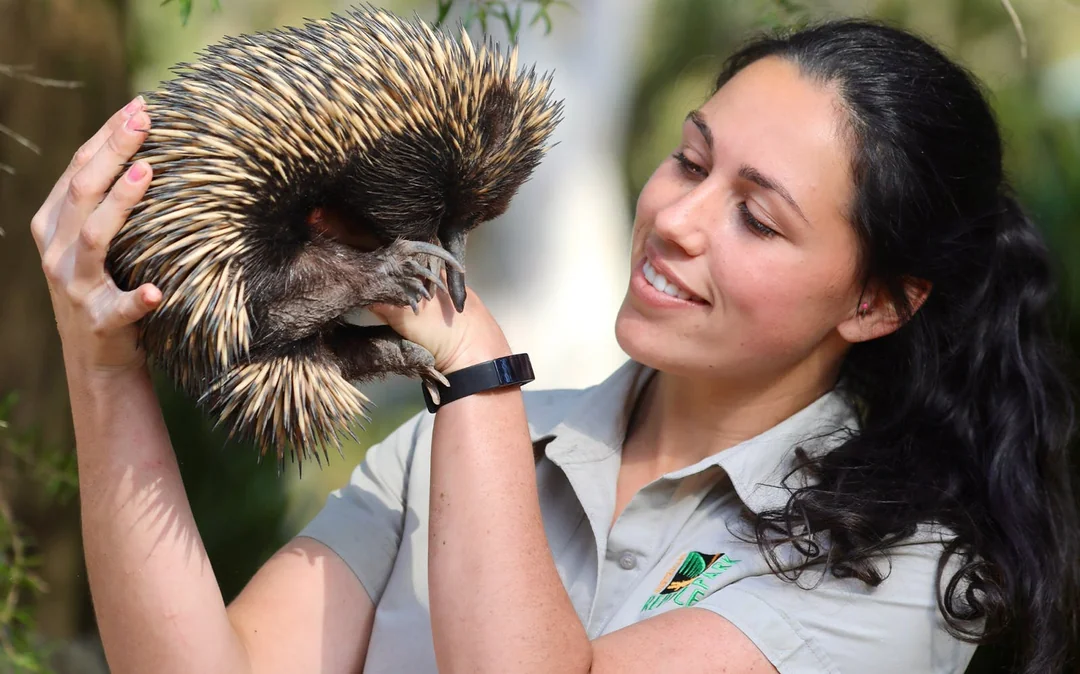 Australian Reptile Park Ticket Image 4
