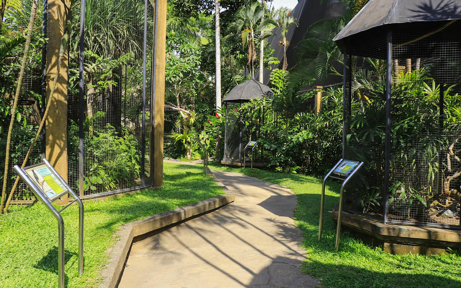 Bali Bird Park Tickets Image 3