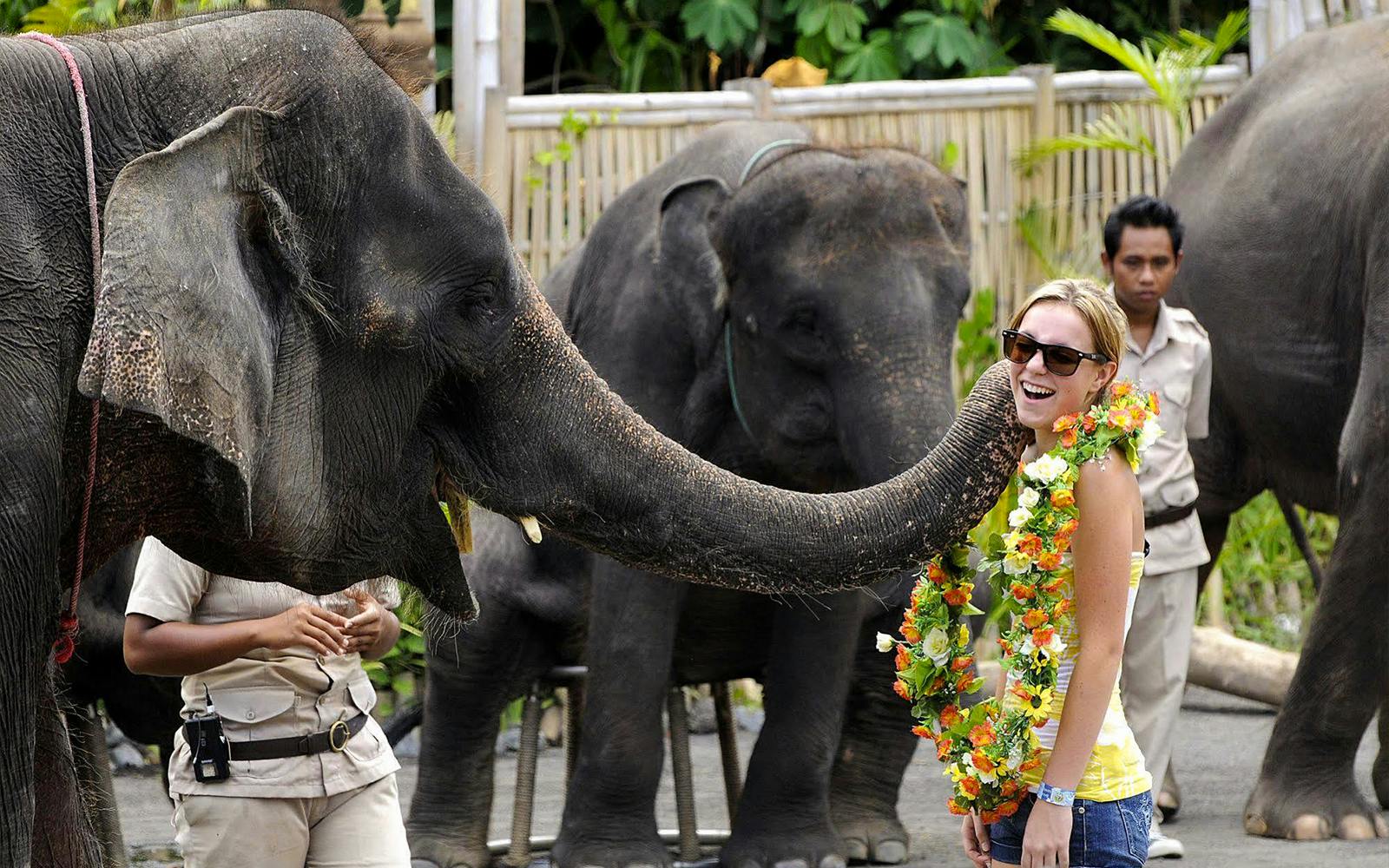 Bali Marine Park Tickets Image 2