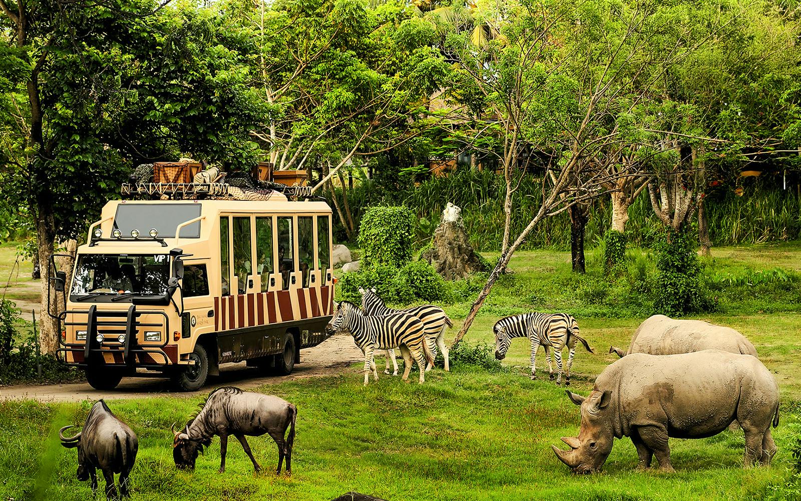 Bali Night Safari Tickets Image 5