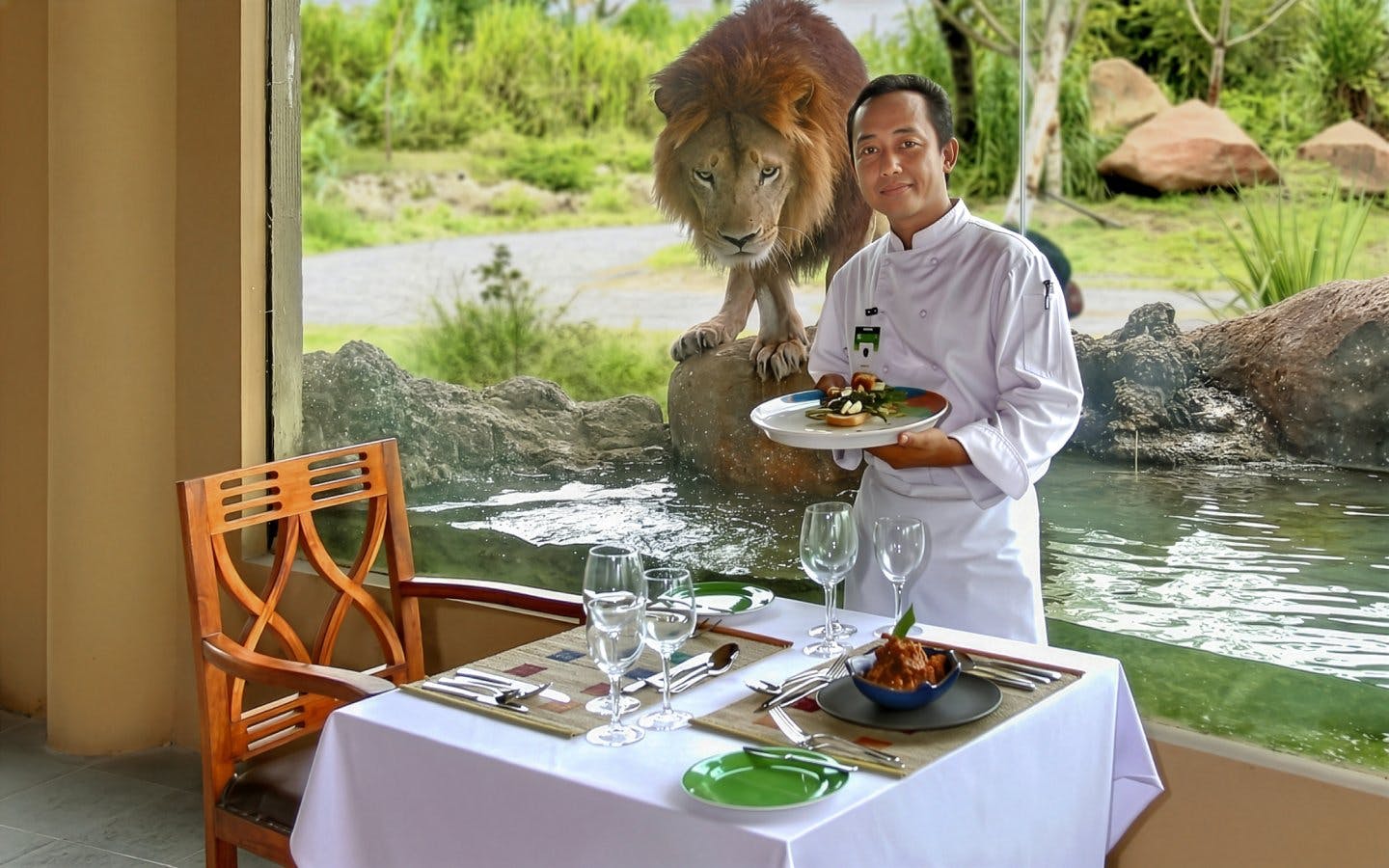 Bali Safari Park Tickets & Meal with Lion View Image 5