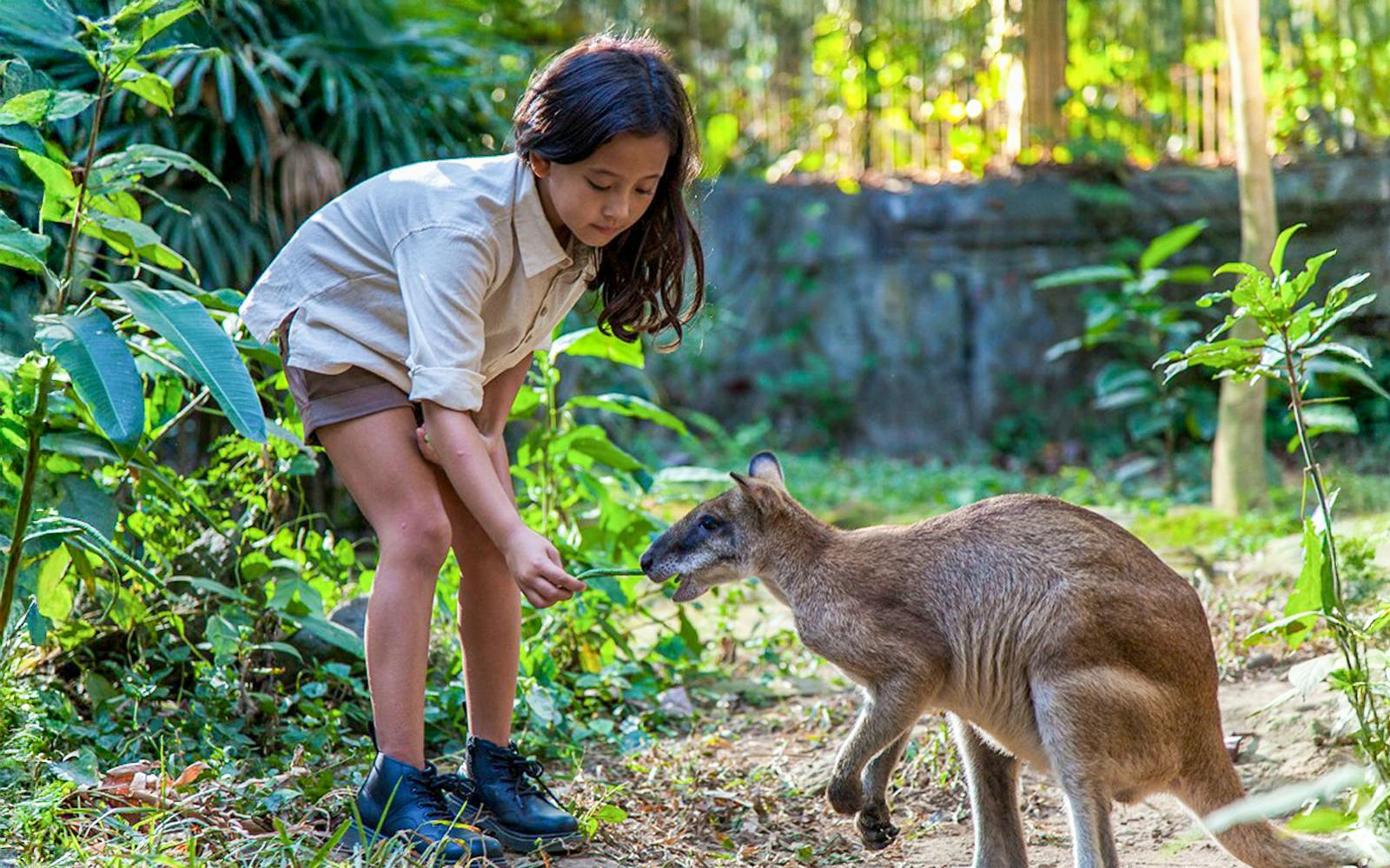 Bali Zoo Entry Tickets Image 1