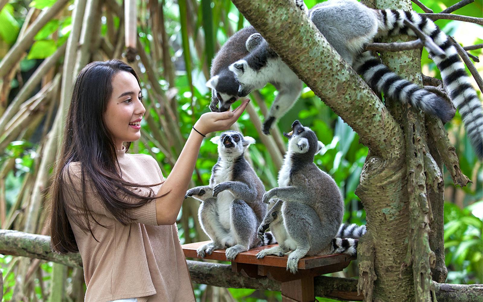 Bali Zoo Entry Tickets Image 12