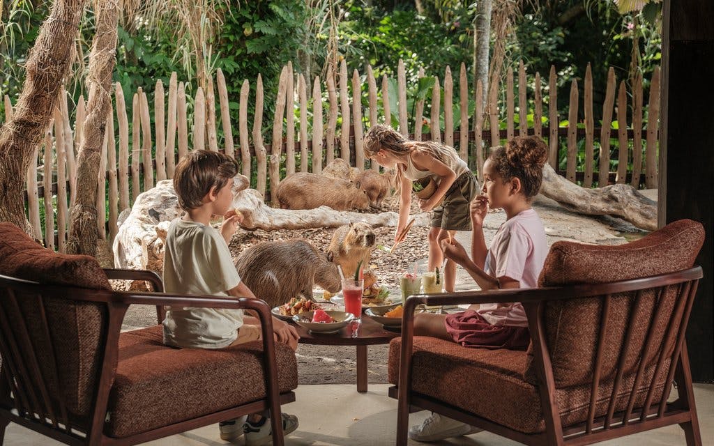 Bali Zoo Entry Tickets Image 3