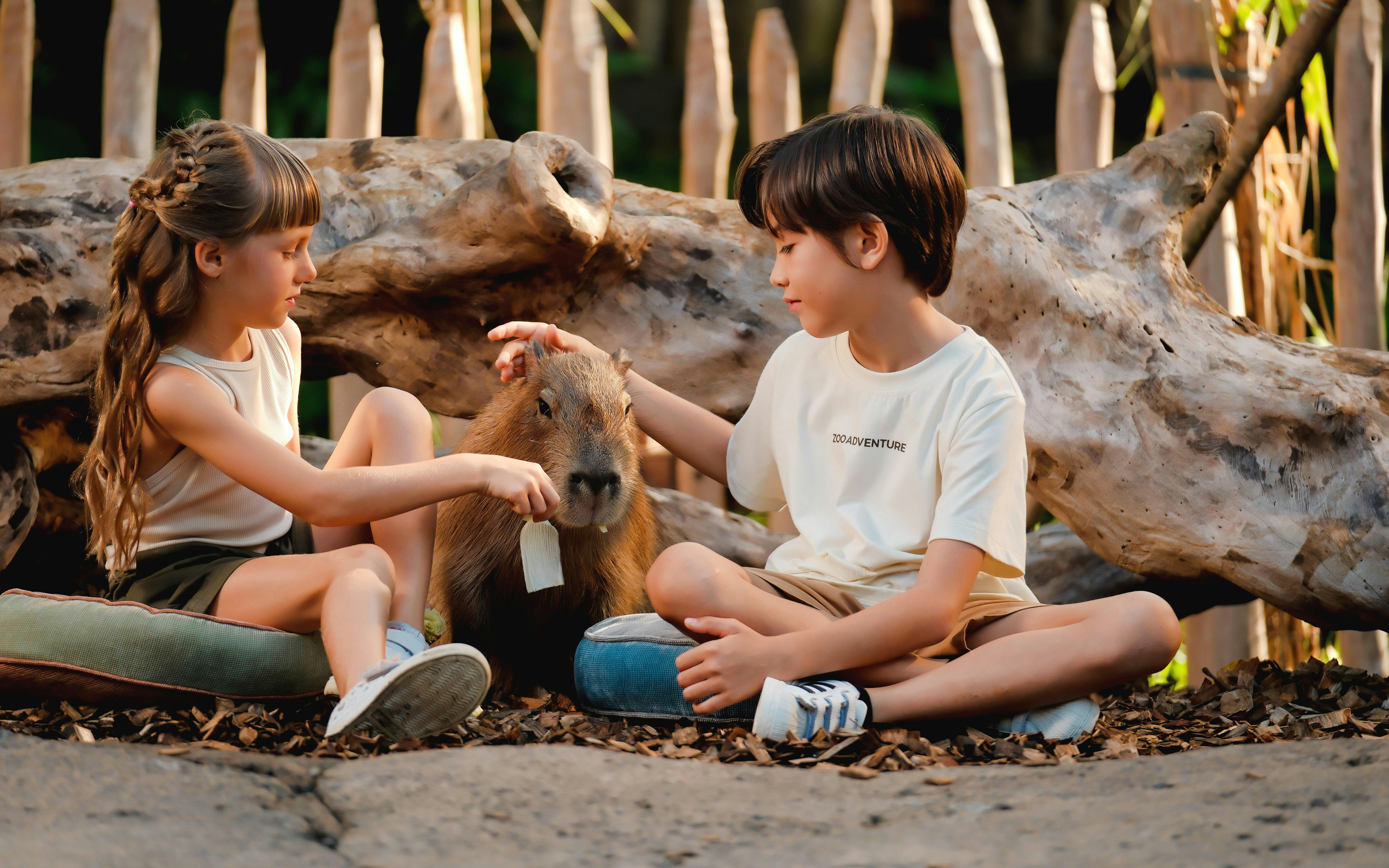 Bali Zoo Tickets with Capybara Interaction & Optional Brunch Image 1