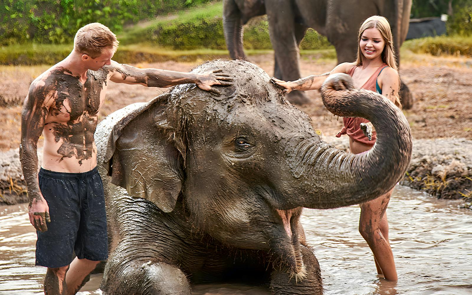 Bali Zoo Tickets with Elephant Feeding & Mud Bath
Image 1