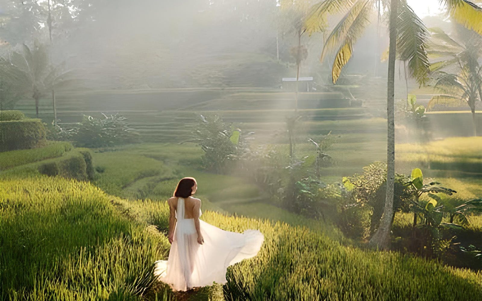 Best Ubud Tour: Monkey forest, Rice Terrace & Waterfall Image 1