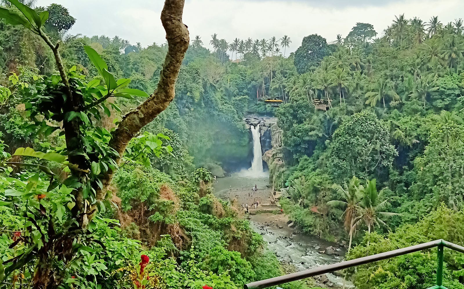 Best Ubud Tour: Monkey forest, Rice Terrace & Waterfall Image 5