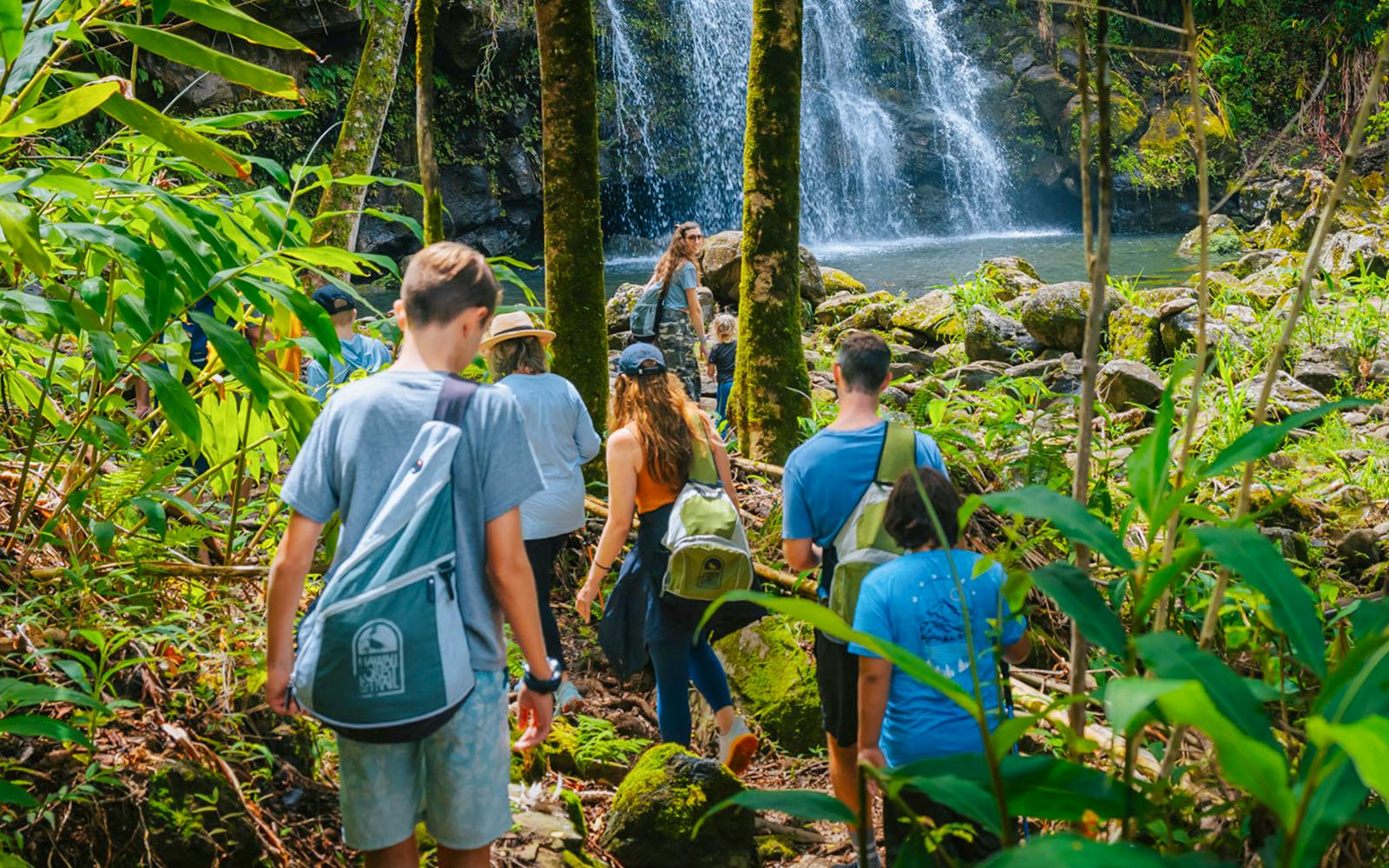Big Island: Hakalau Forest Birdwatching Tour Image 3